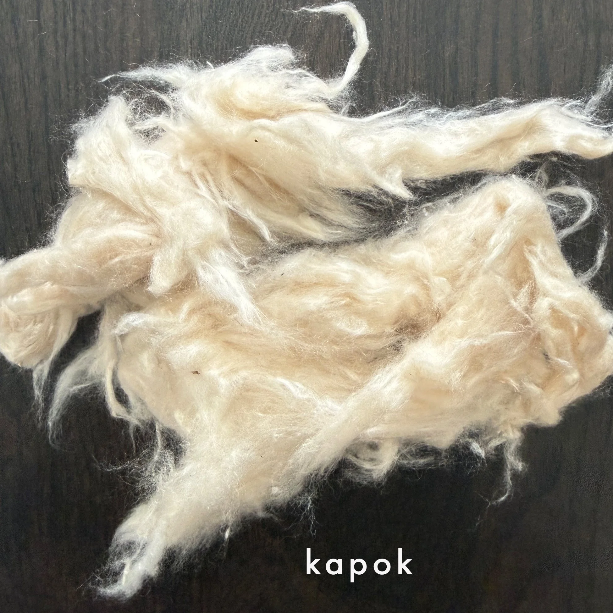 KAPOK.jpg