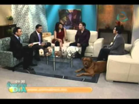 Gustavo Reyes entrevista a Animal Rest - Al empezar el día