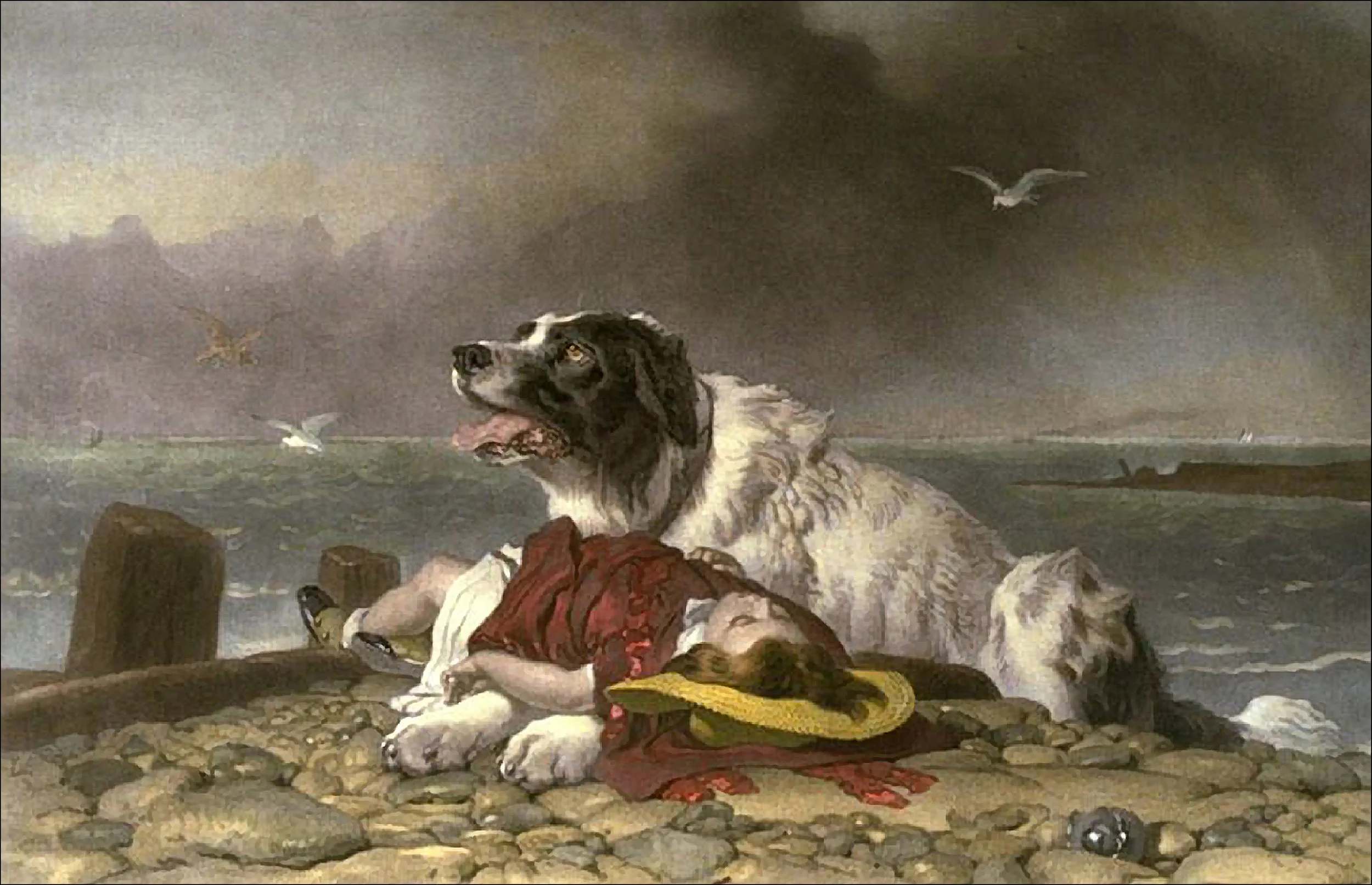 Pintura del perro de rescate Milo por Sir Edwin Henry Landseer en nelights.com ➝