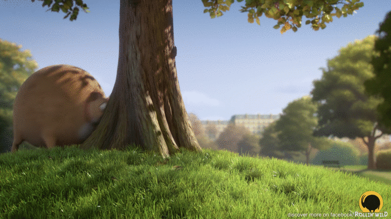 Cómo sé cuánto debe comer mi mascota y si tiene sobrepeso o no