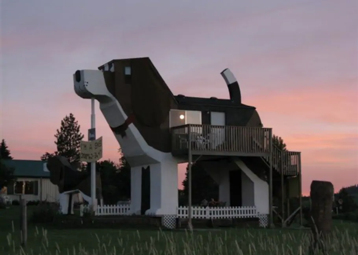 Puesta de sol durante el verano en Dog Bark Park