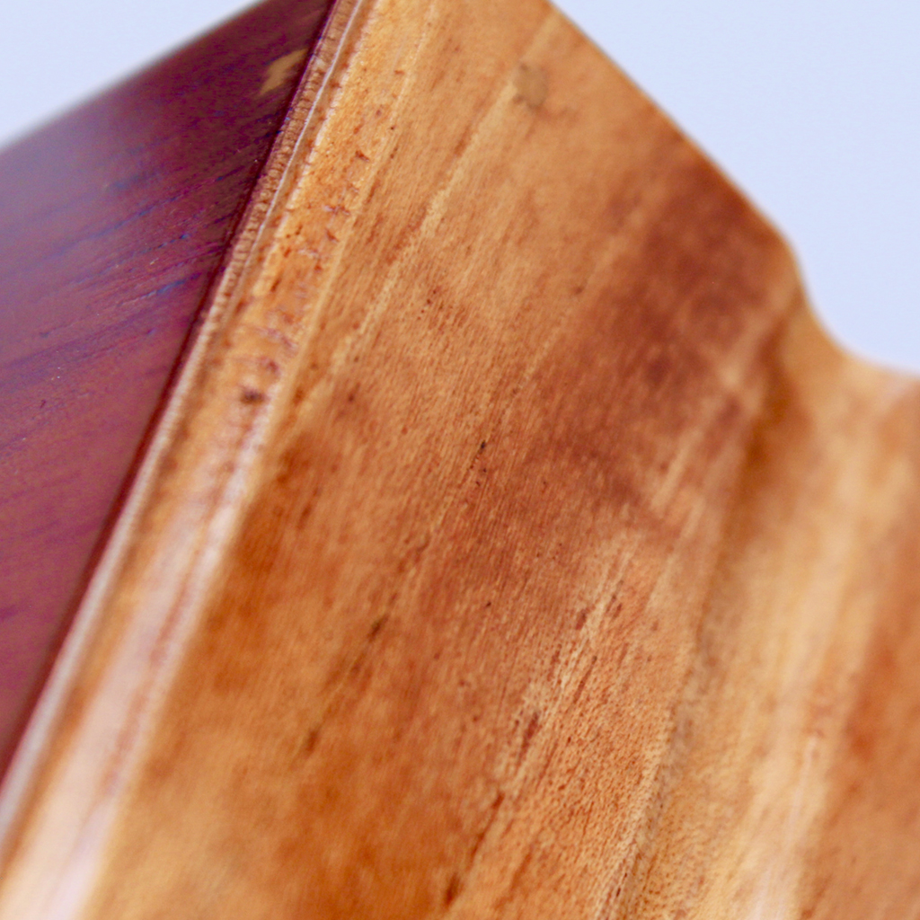 CEDRO-AMPLIA_0003_Layer 28.jpg