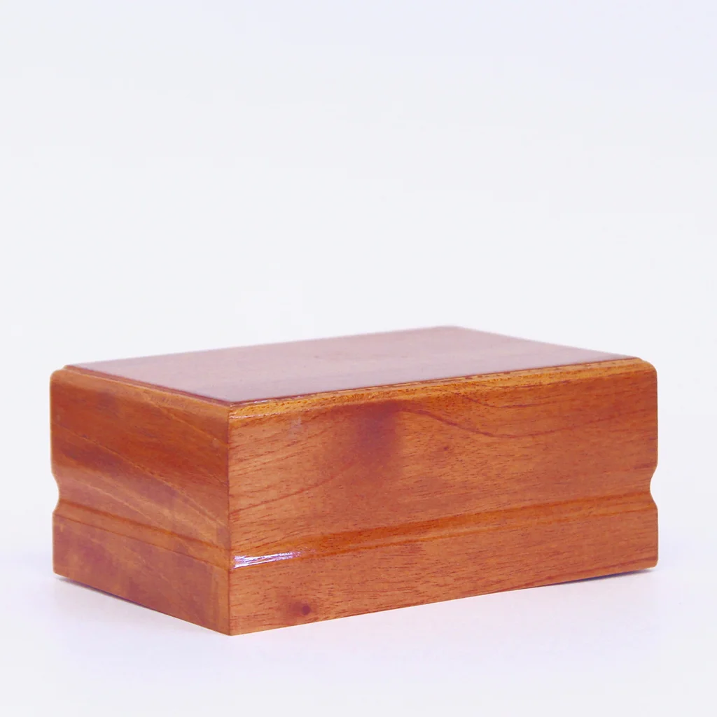 CEDRO-AMPLIA_0004_Layer 27.jpg