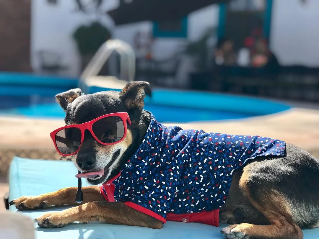 Chiquito Taquito en Querétaro