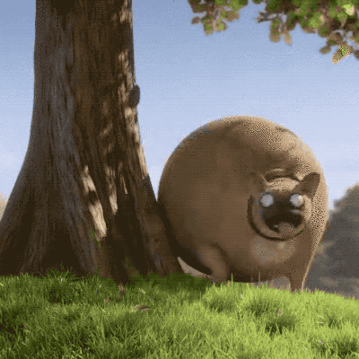 PIP.gif