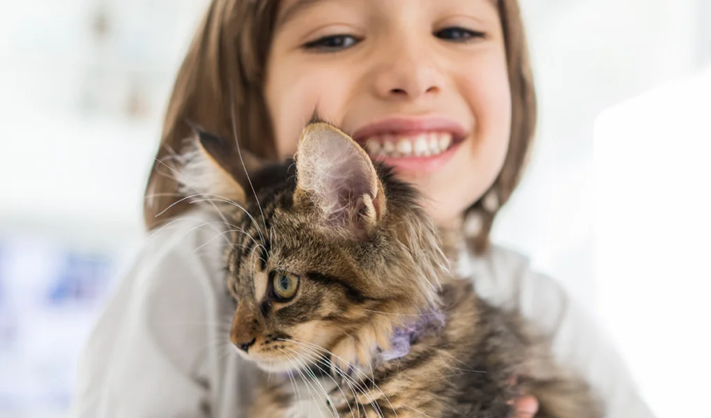 ¿Tendrás un gatito? Cumple éstas 6 cosas y asegúrate de que sea un felino sano
