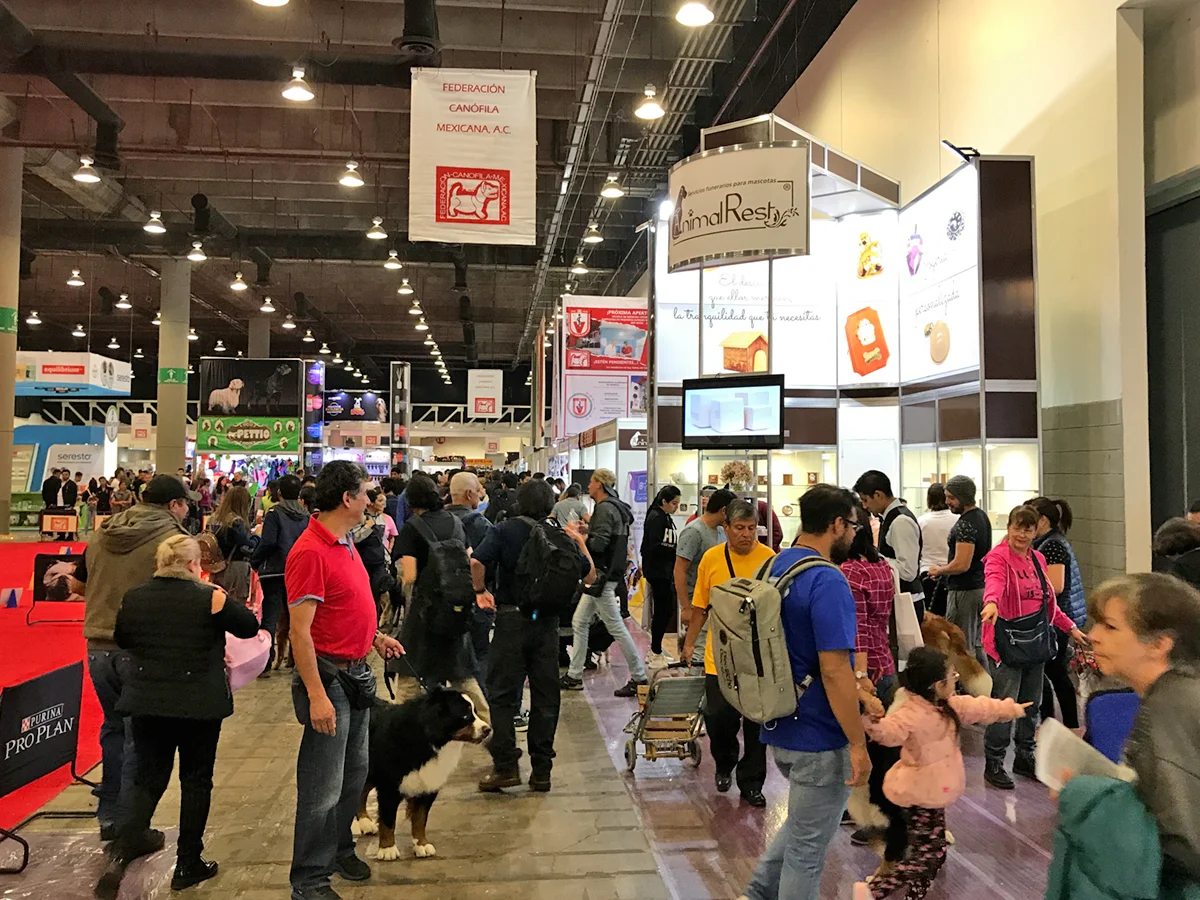 Gracias a todos los visitantes de Expo Can 2019 ¡Nos vemos el próximo año!