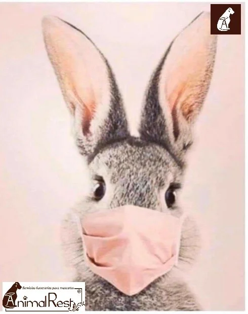 ¿Conoces el uso correcto del cubrebocas?