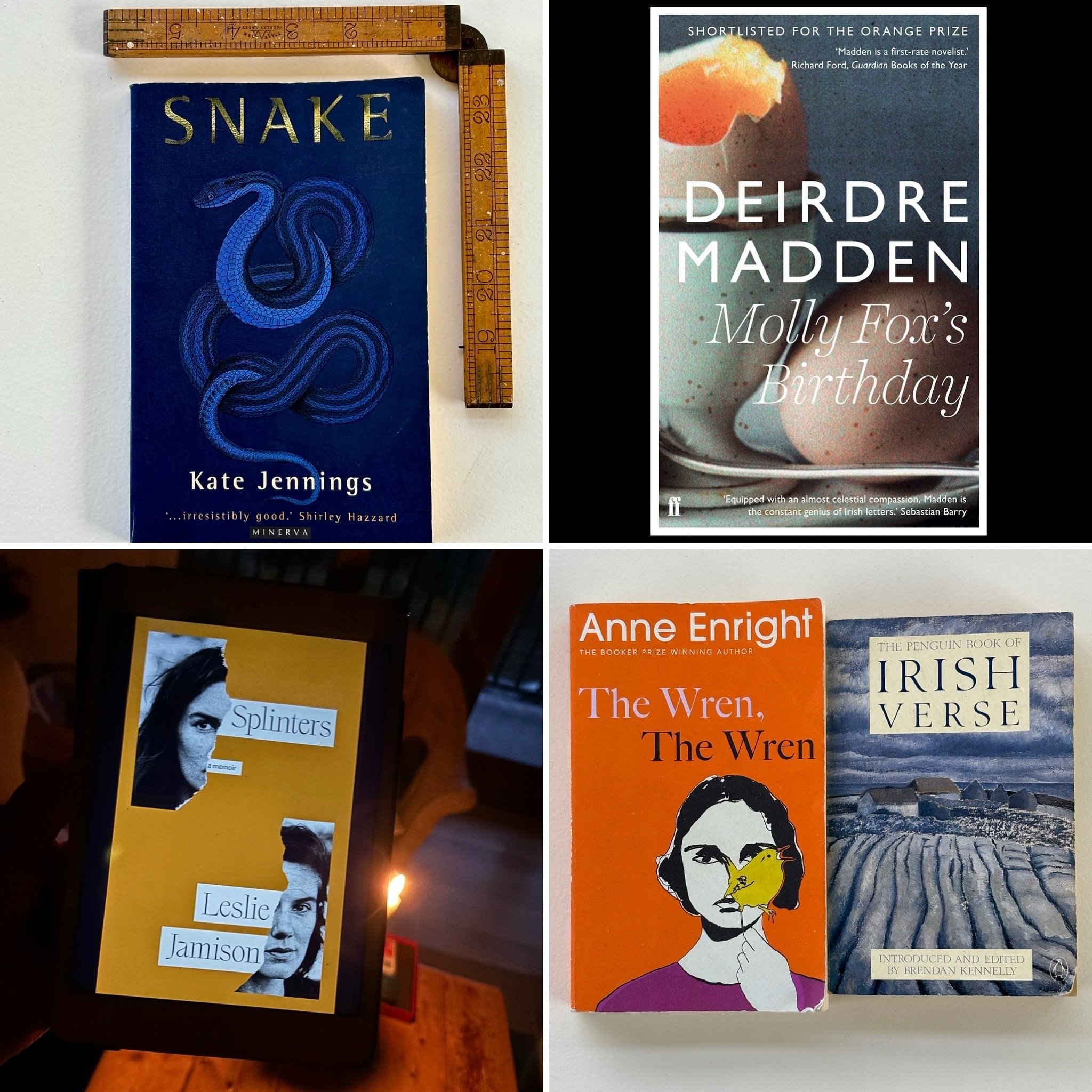 Some 🍁Autumn 🍂 Reading 
Snake &mdash; Kate Jennings, read and reread for its jolting brilliance 
Molly Fox&rsquo;s Birthday &mdash; Deirdre Madden, totally absorbing nuanced study of friendship
The Wren, the Wren &mdash; Anne Enright @thewrengirl C