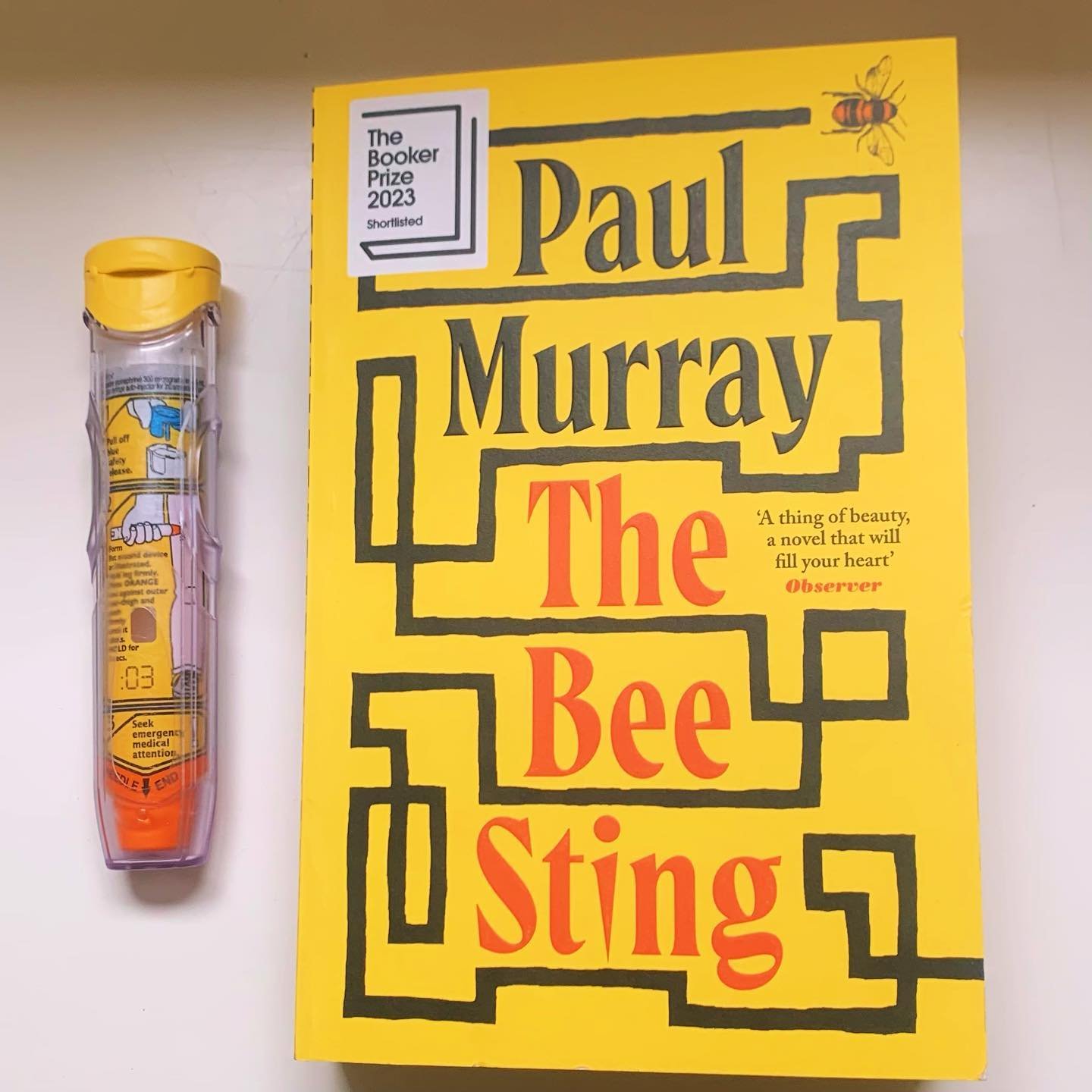 The Bee Sting by Paul Murray, hums. A wordy, swirling, buzzing, ultimately stinging family saga, that is not only a rollicking read but also tragic and profound.
At 645 pages, it builds on itself to form an interconnected story that (honeycombed?) ma