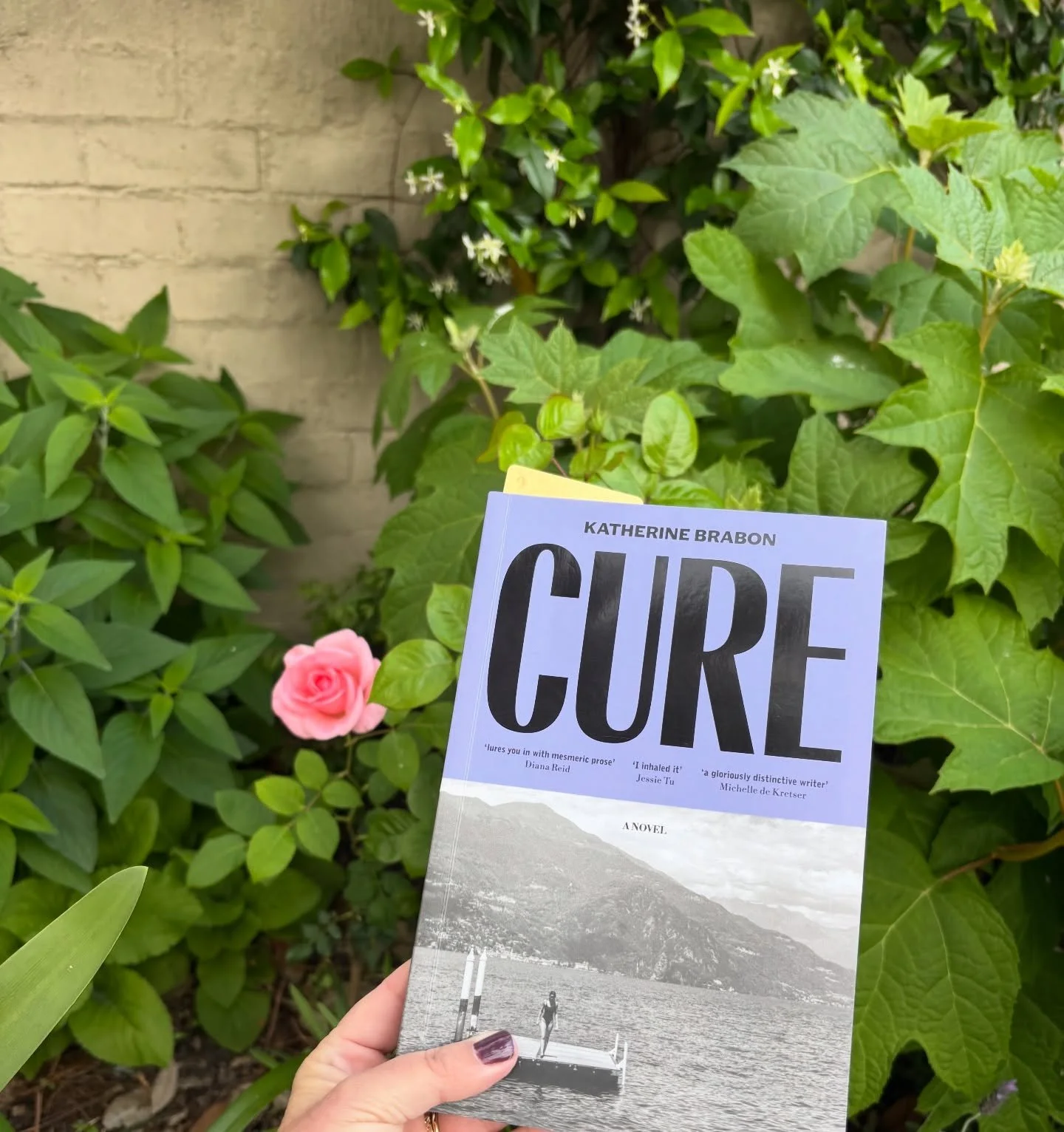&ldquo;The girl&rsquo;s mother veers between allowing her everything and nothing. It&rsquo;s as though her mother can&rsquo;t control her own need to control the girl.&rdquo;
Delicate, tender, evocative. CURE by @katherinebrabon is illuminating on th