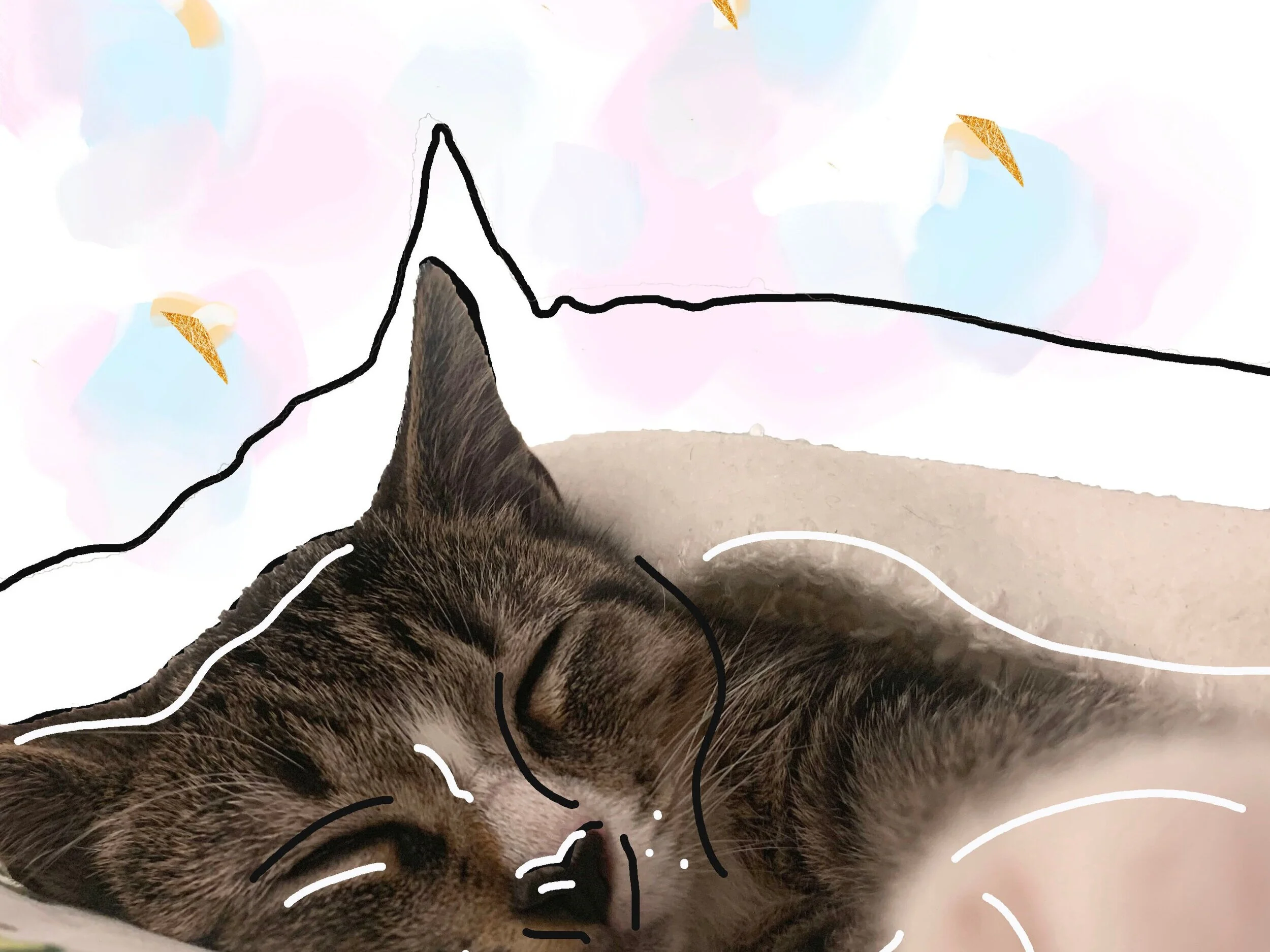 Milo / A Love Series