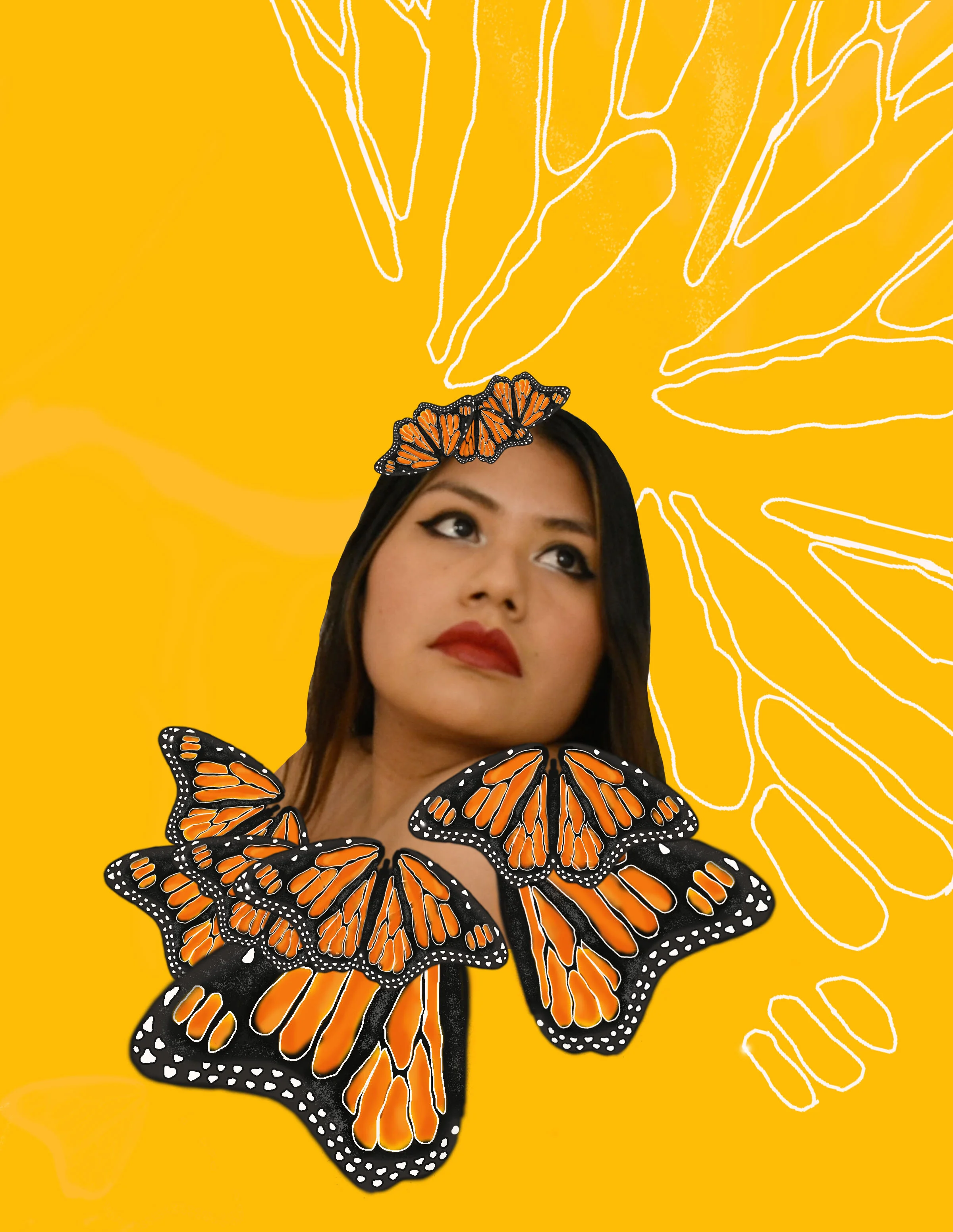 Flight Of The Mariposa