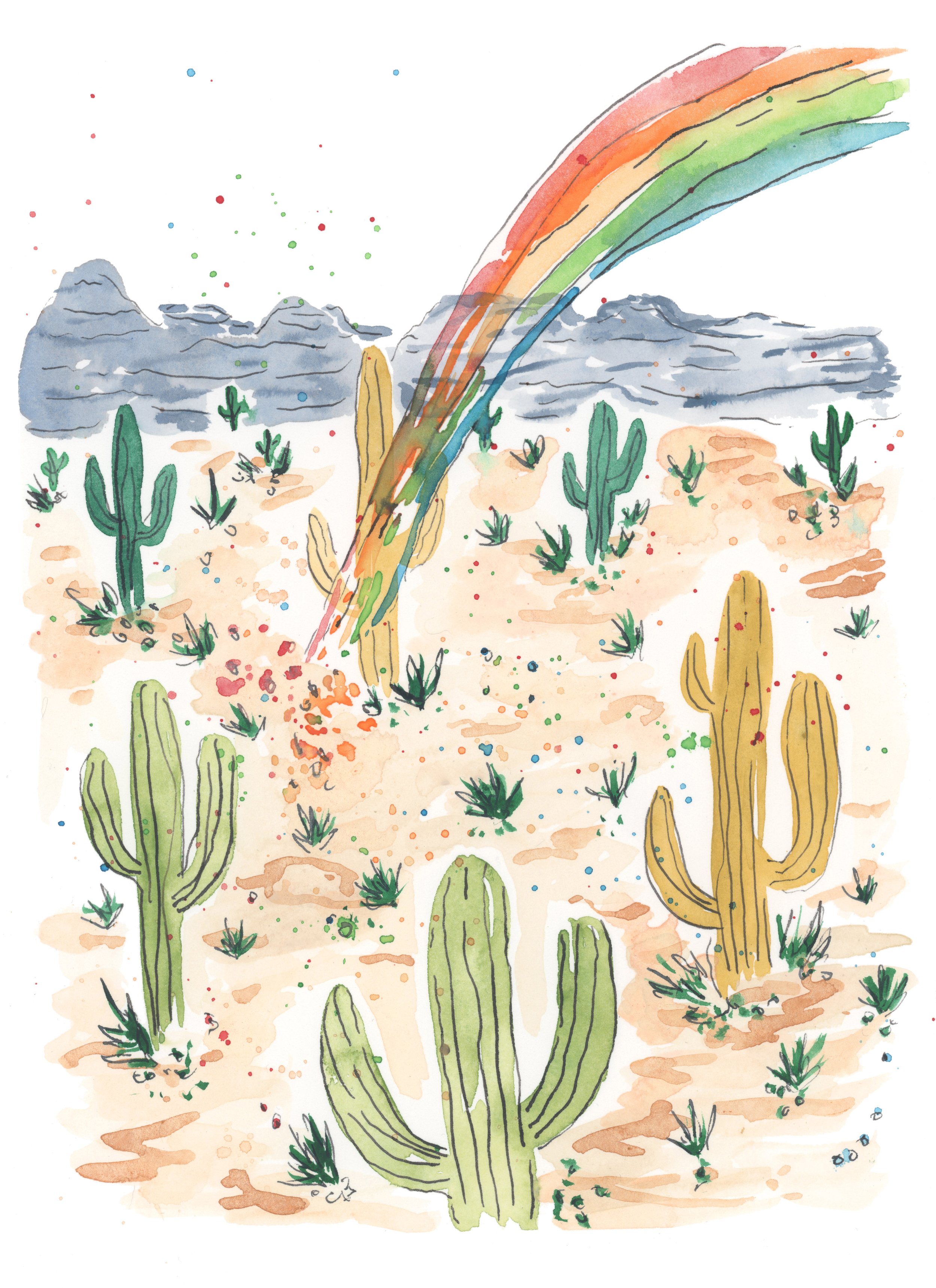 Rainbow Desert copy.jpg