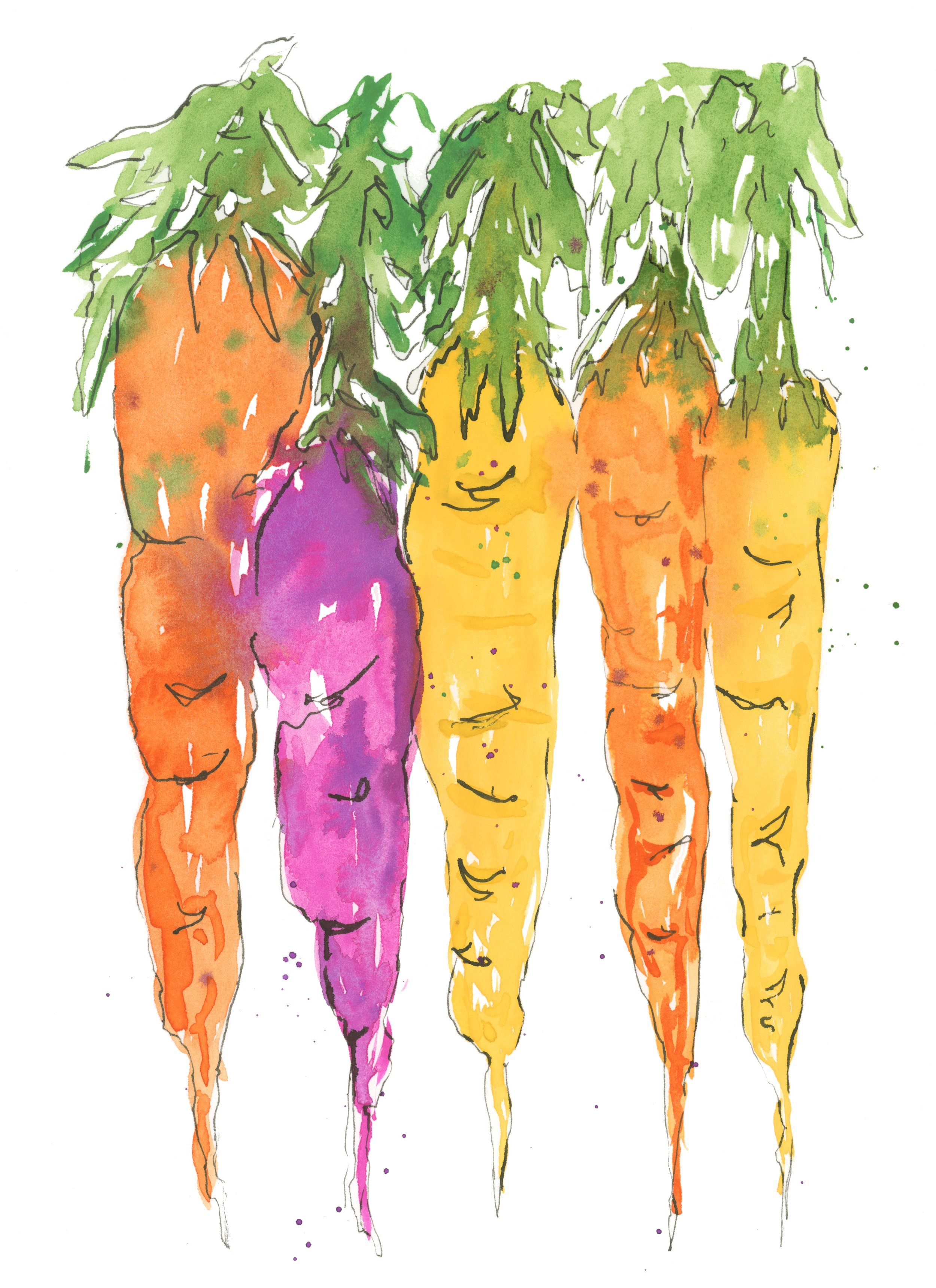 Carrots Large copy.jpg