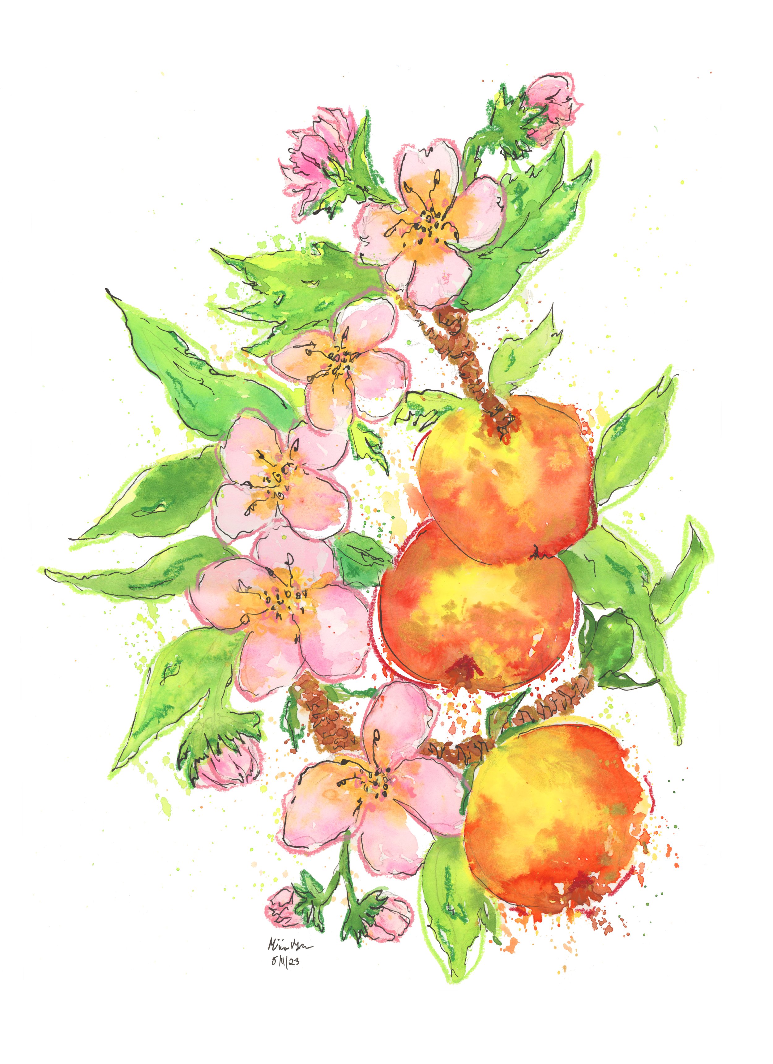 Apple Blossoms copy.jpg