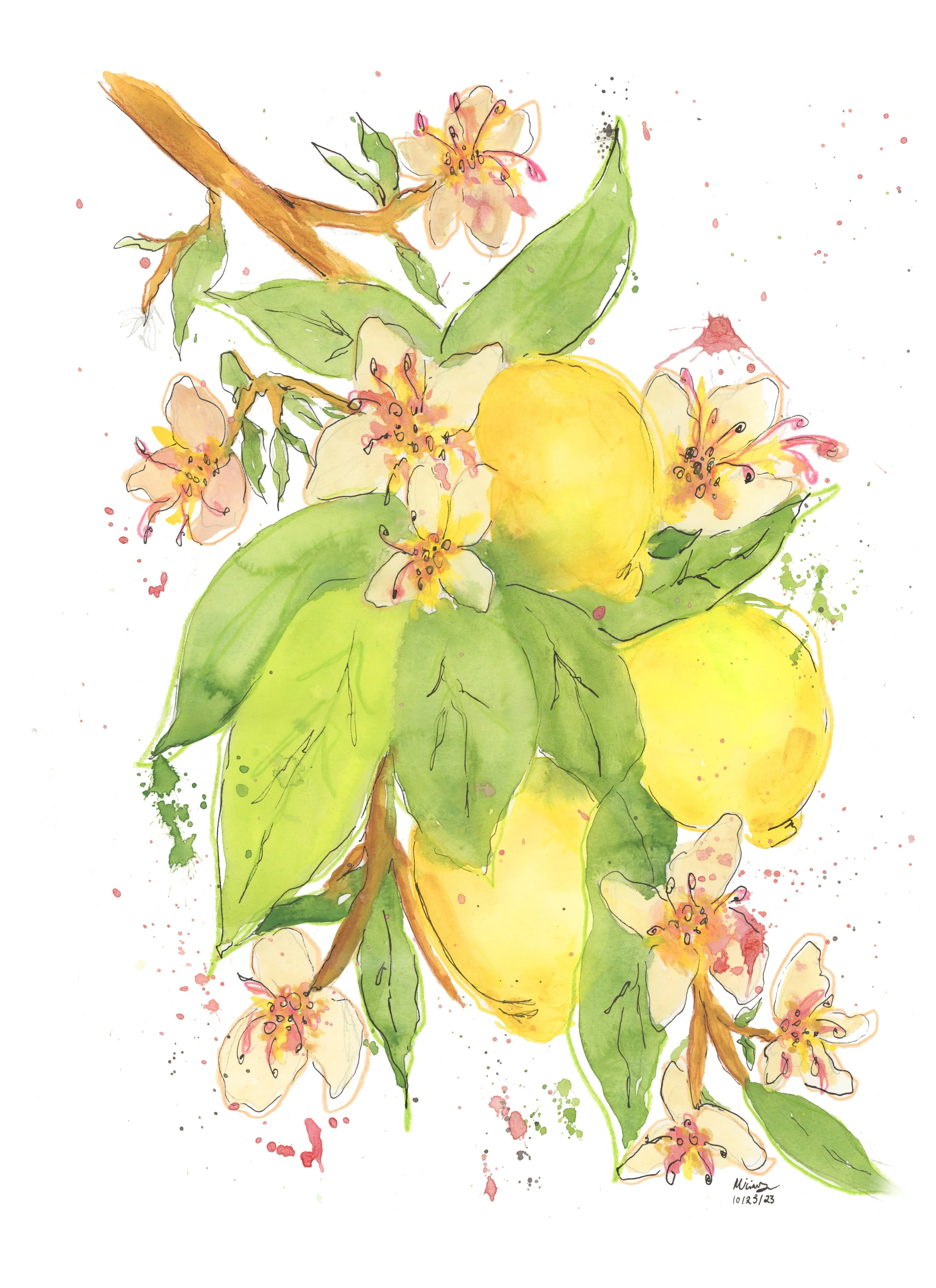 Lemons Vine_V2 copy.jpg