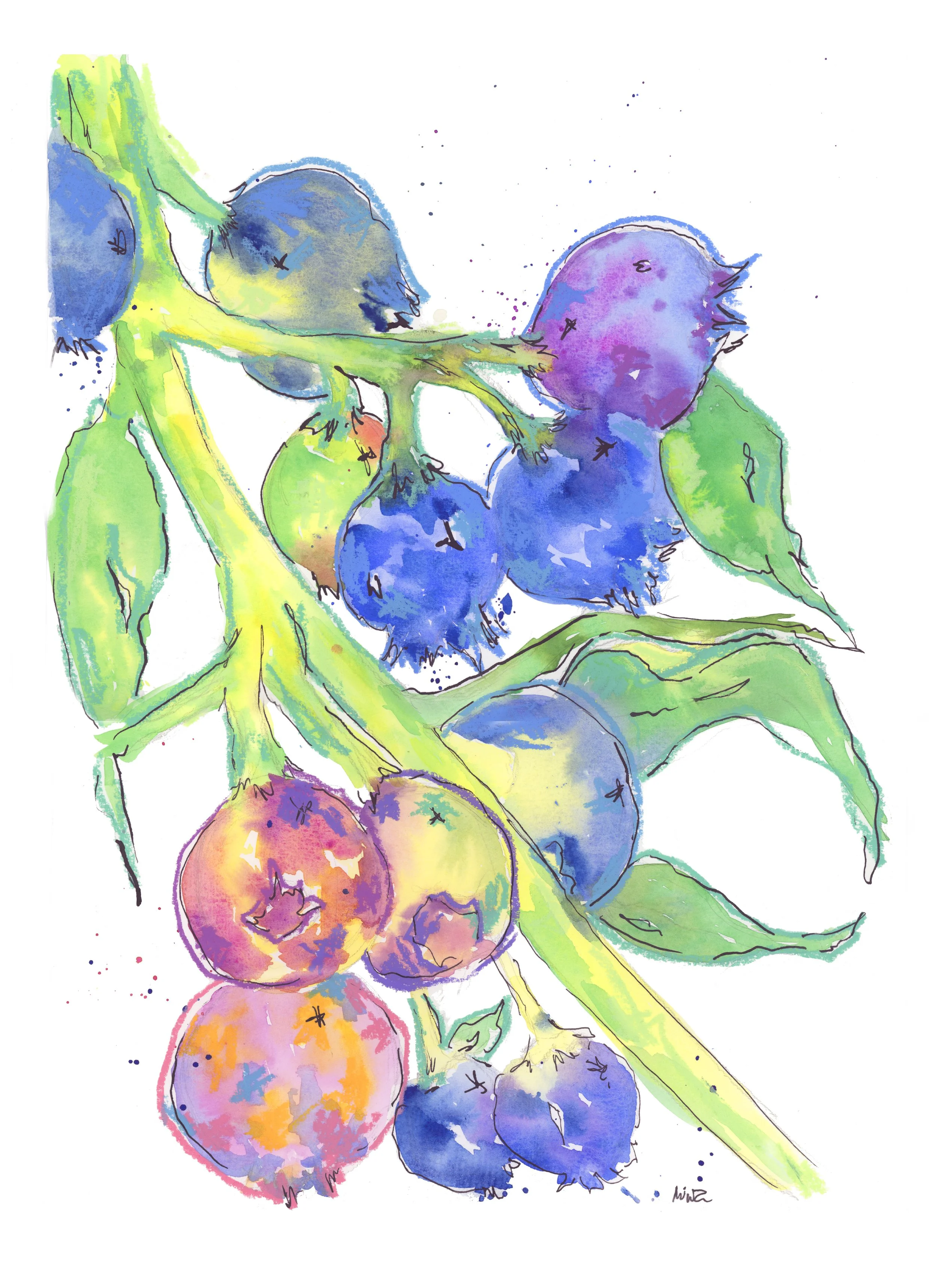Blueberries copy.jpg