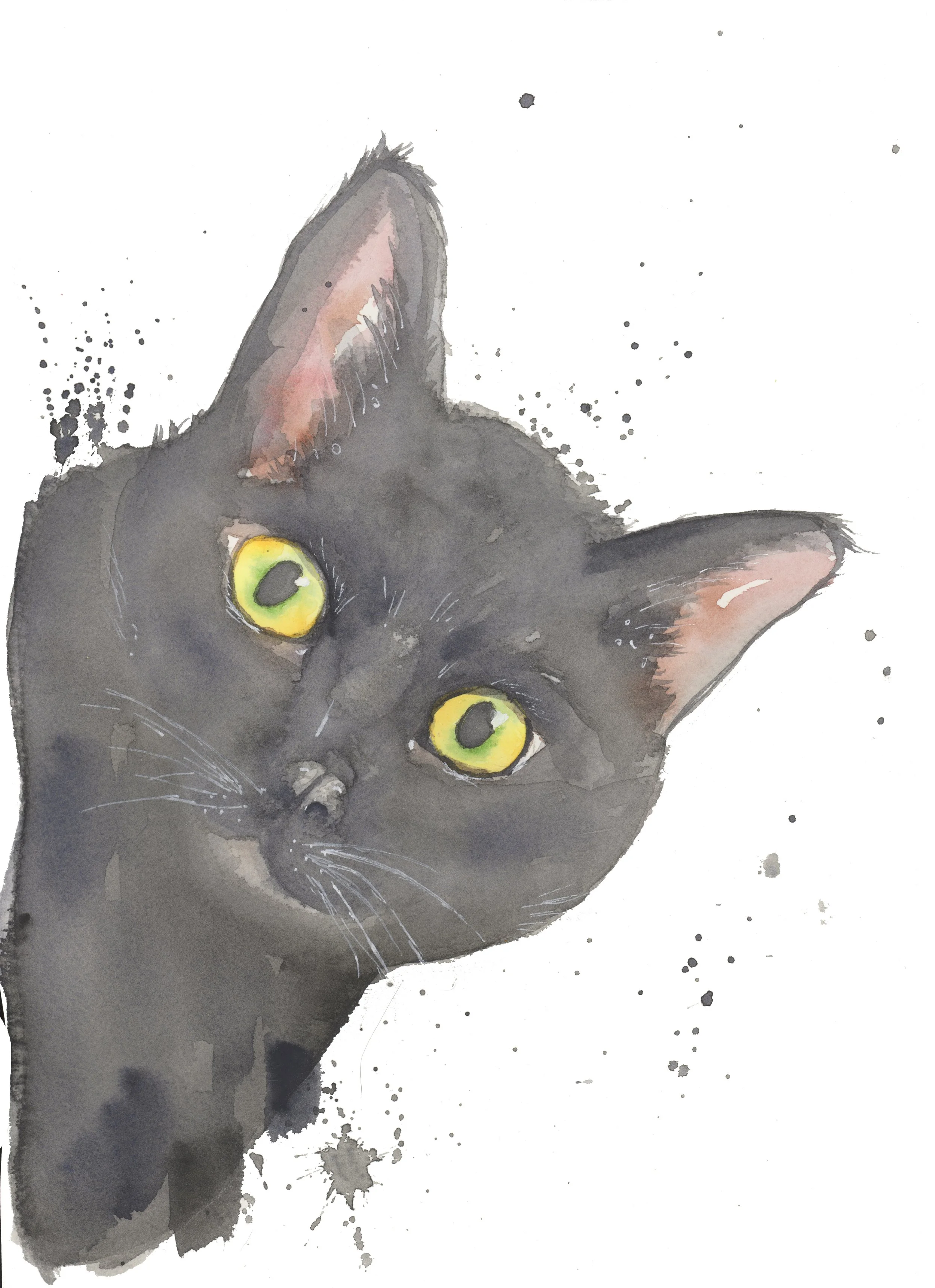 Black Cat copy.jpg
