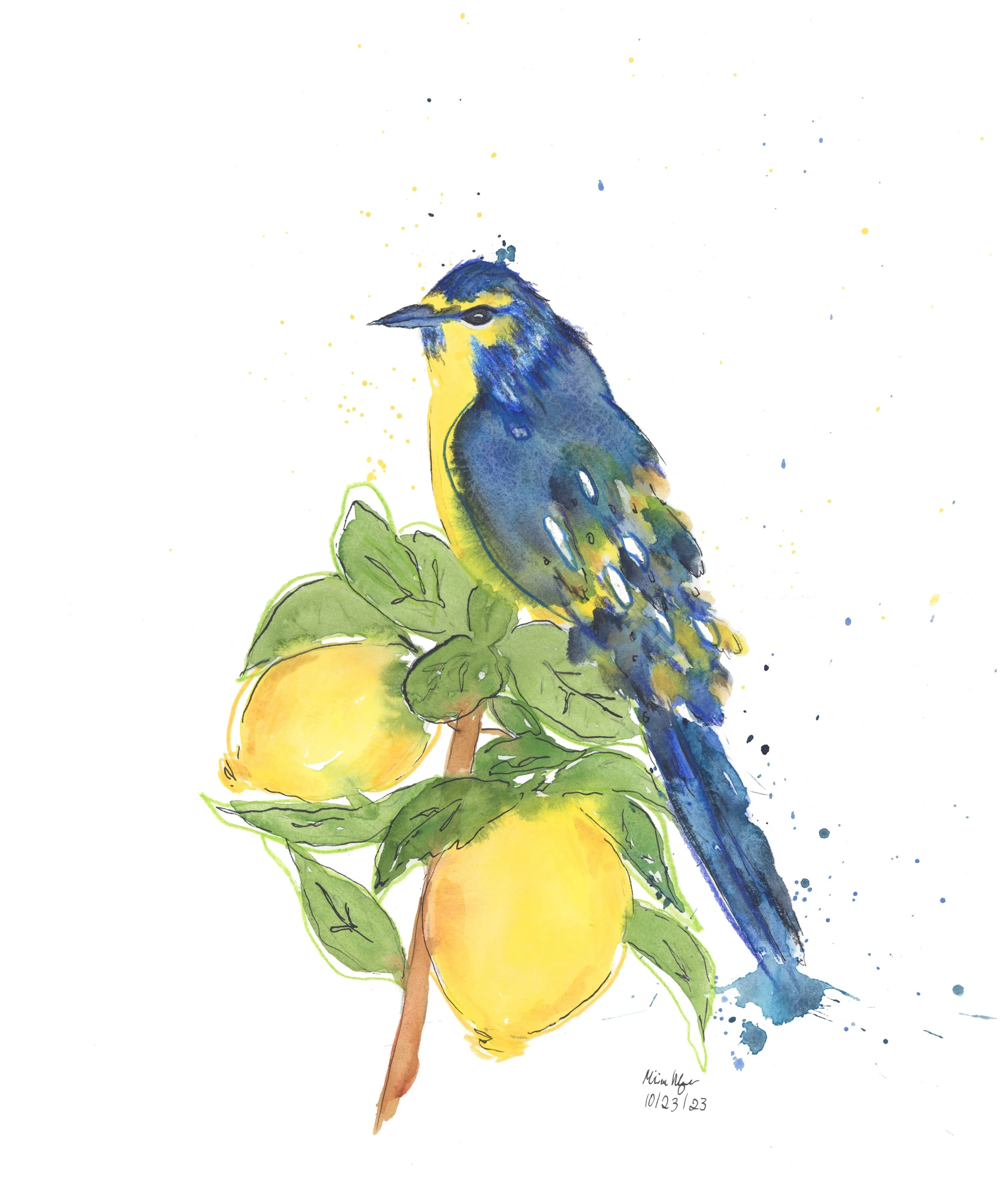 Songbird_Blue copy 2.jpg