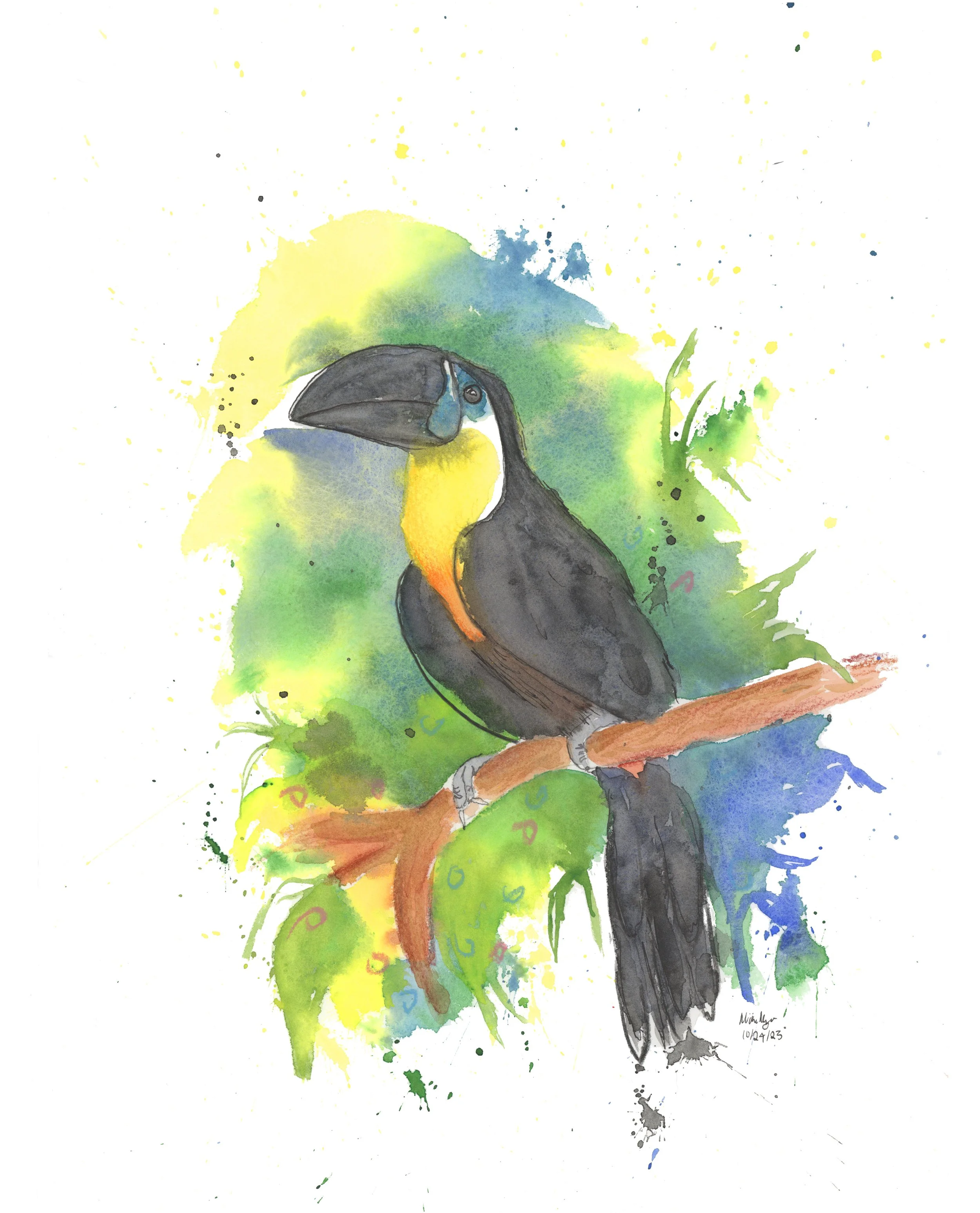 Toucan Bird copy 2.jpg