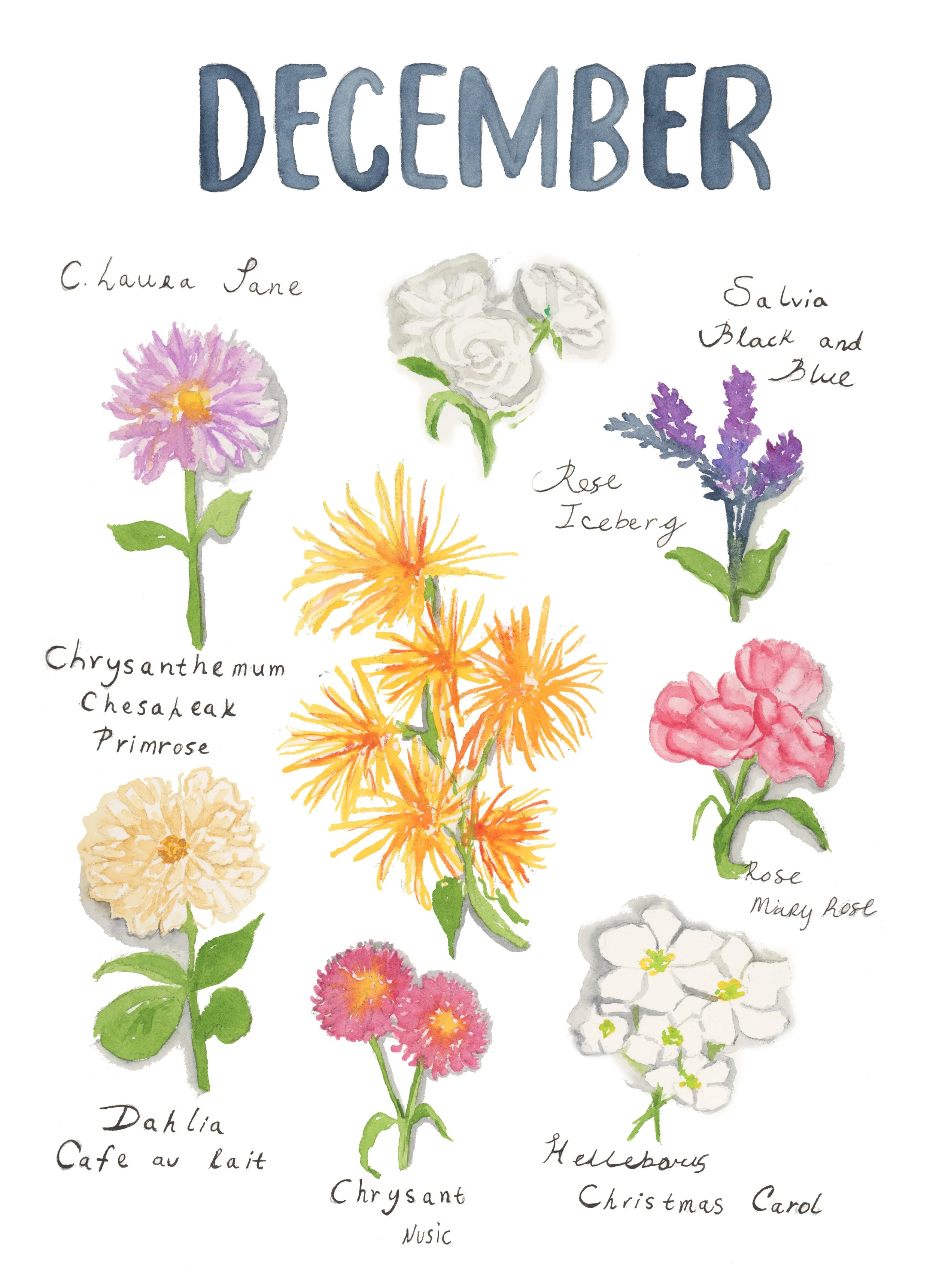 December Florals copy.jpg