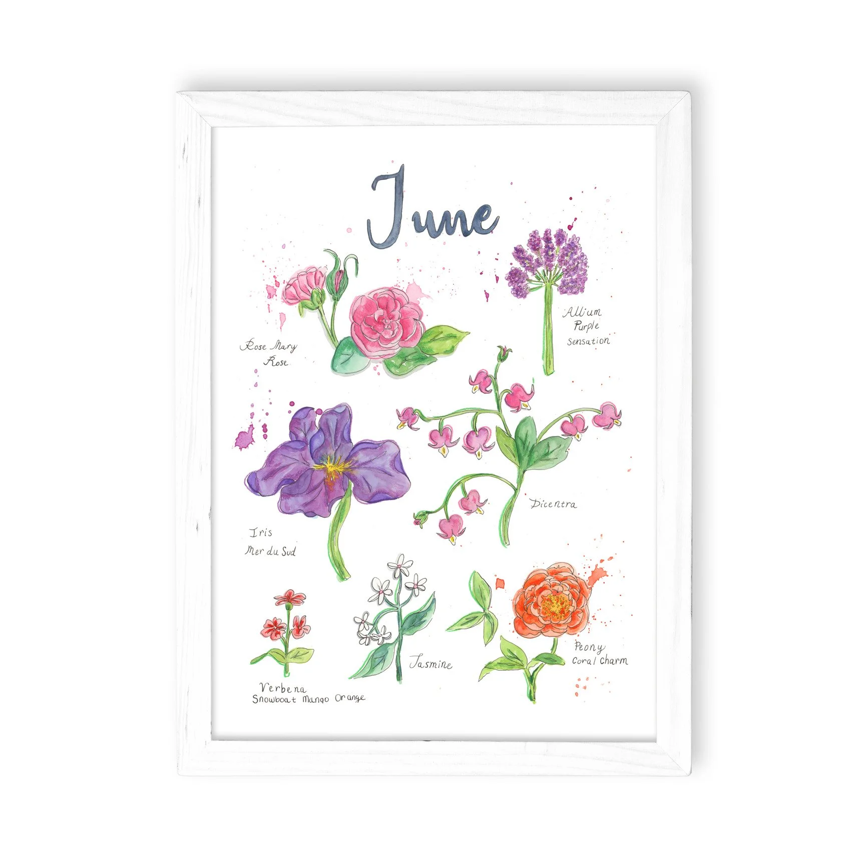 June Flowers_Final copy_FRAMED.jpg