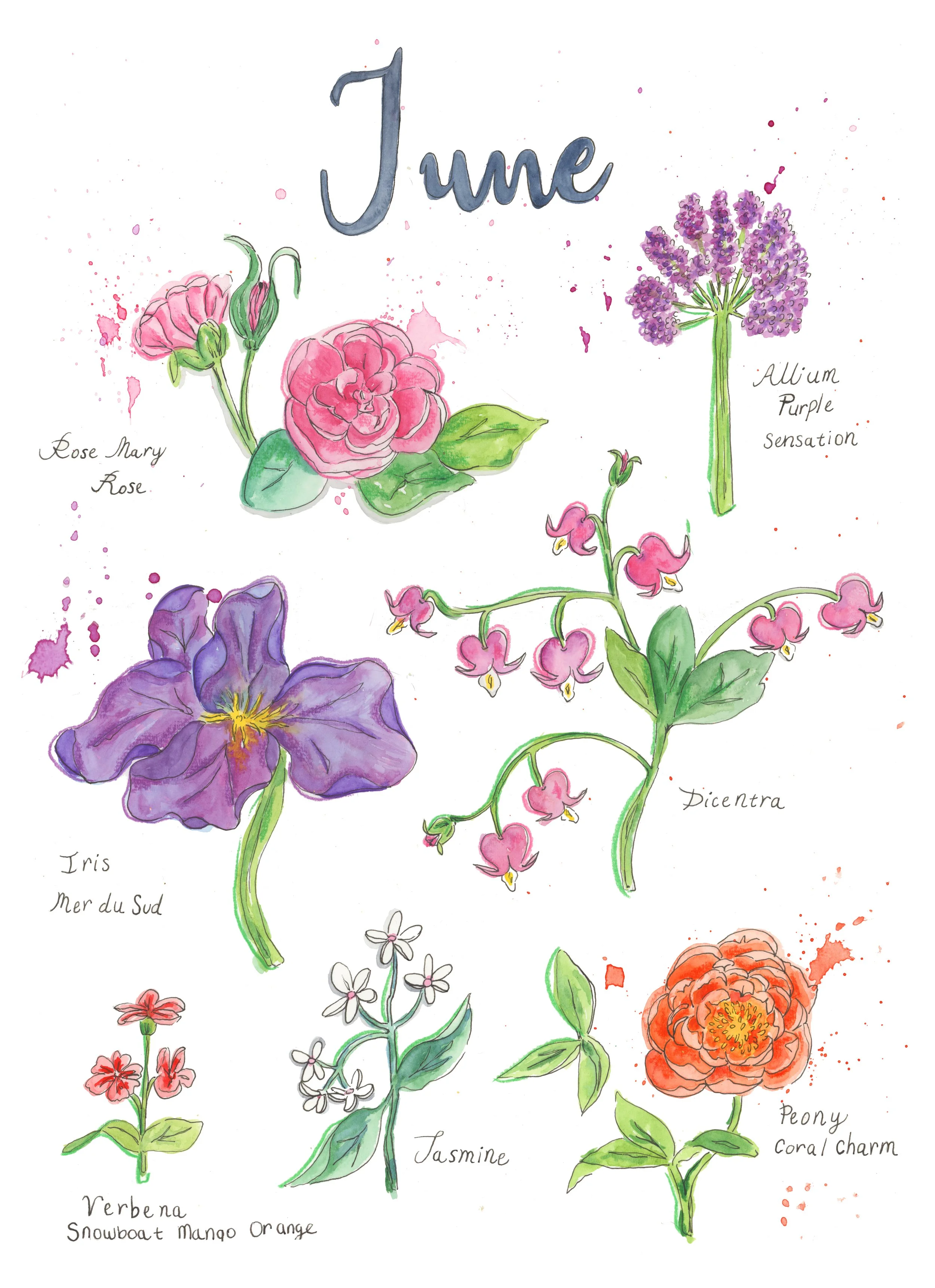 June Flowers_Final copy.jpg