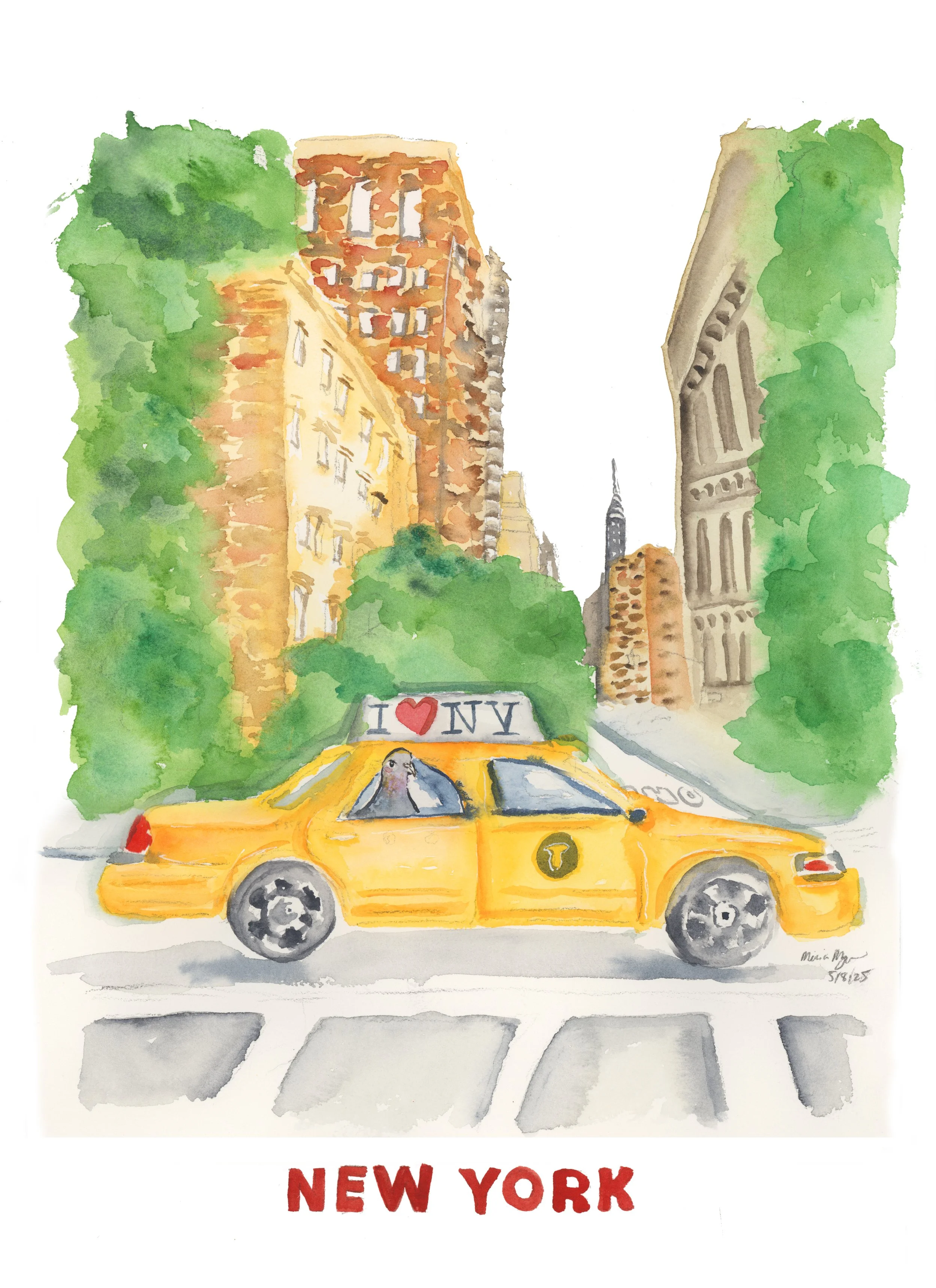 New York Cab Pigeon copy.jpg