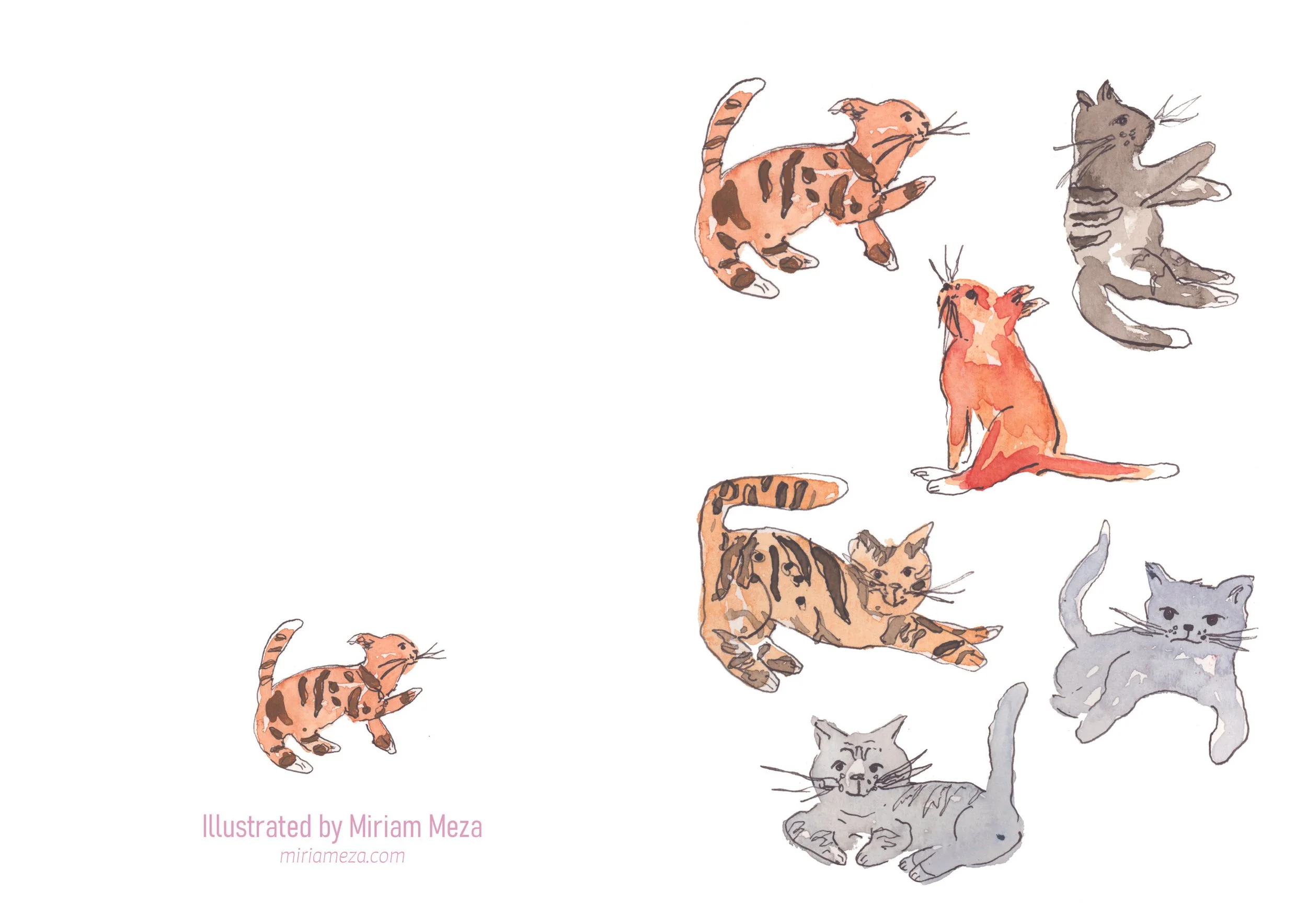Kitty_A7_Folded_Portrait copy.jpg