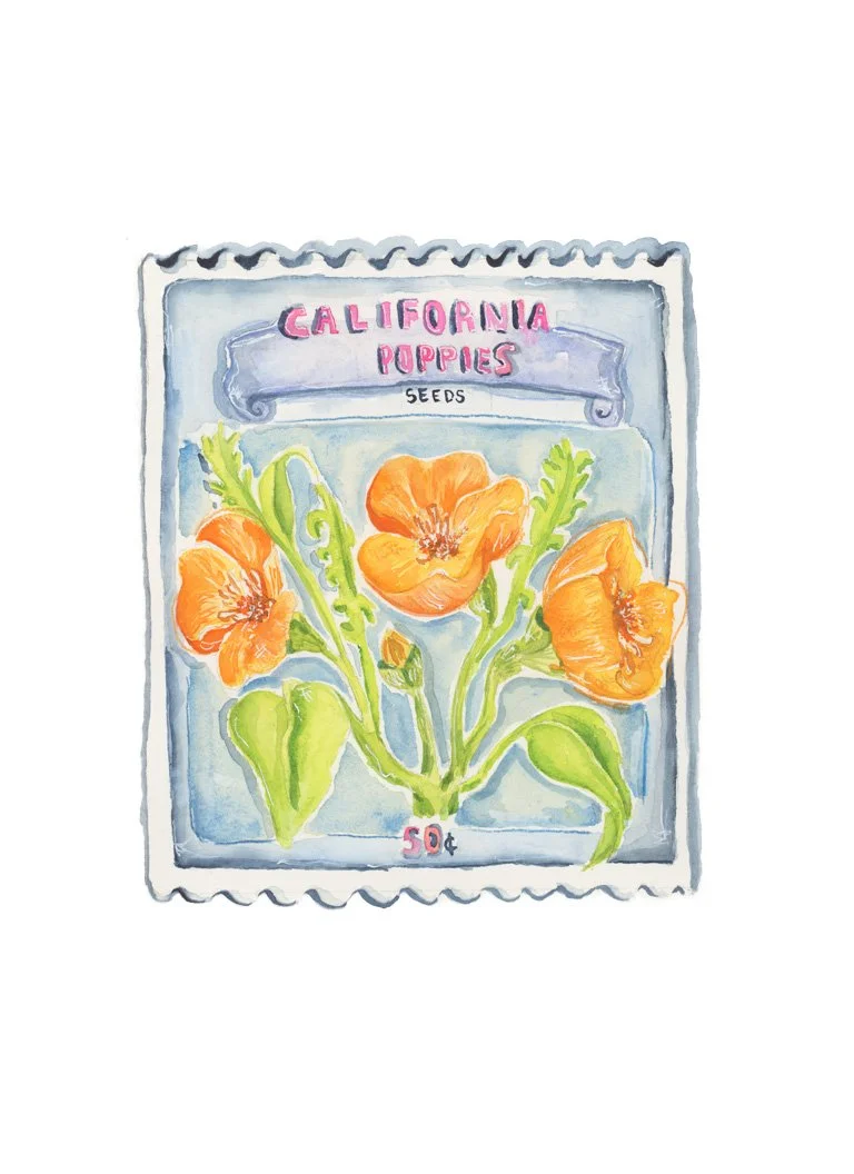 California Poppies Seed Packet copy.jpg