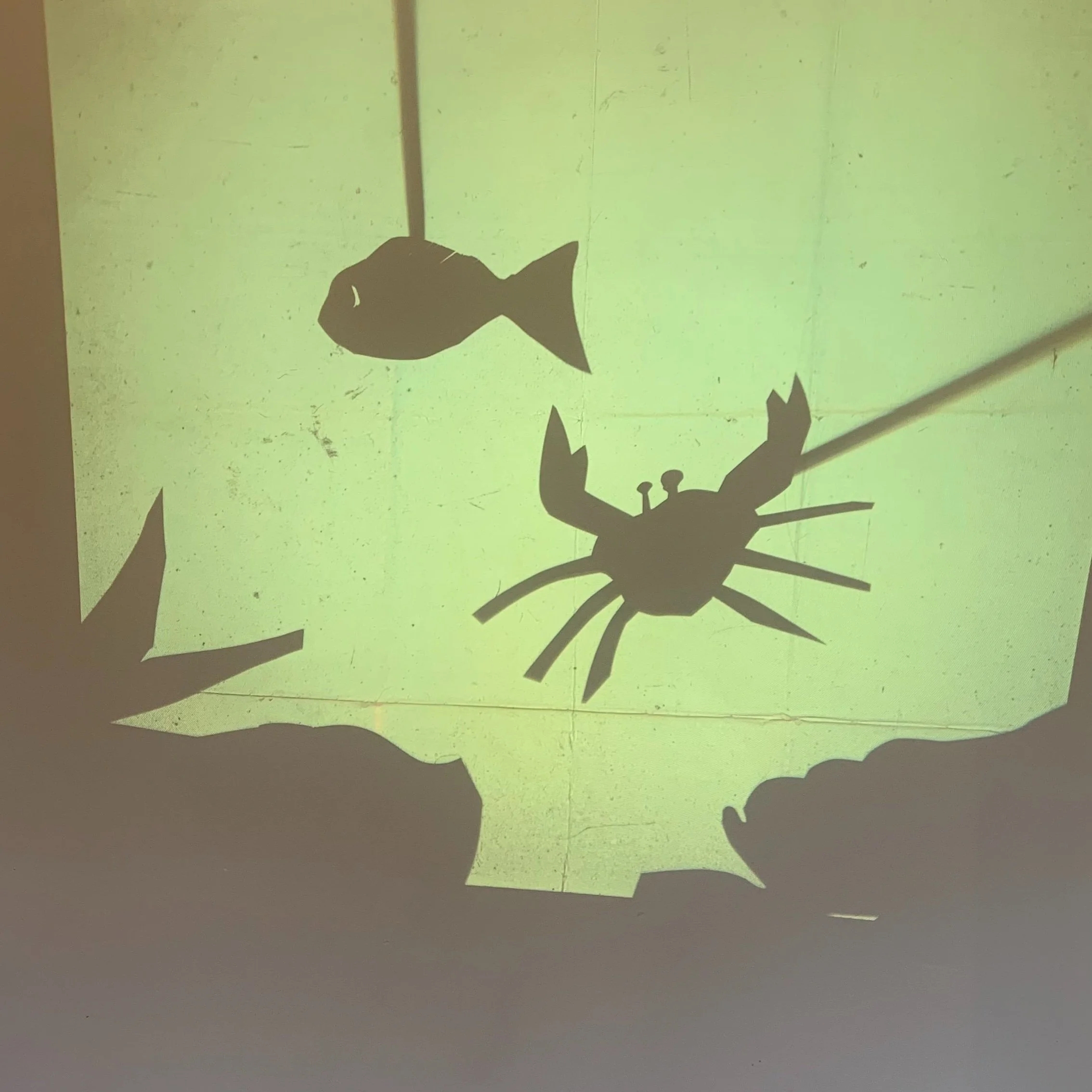 Shadow Puppets 