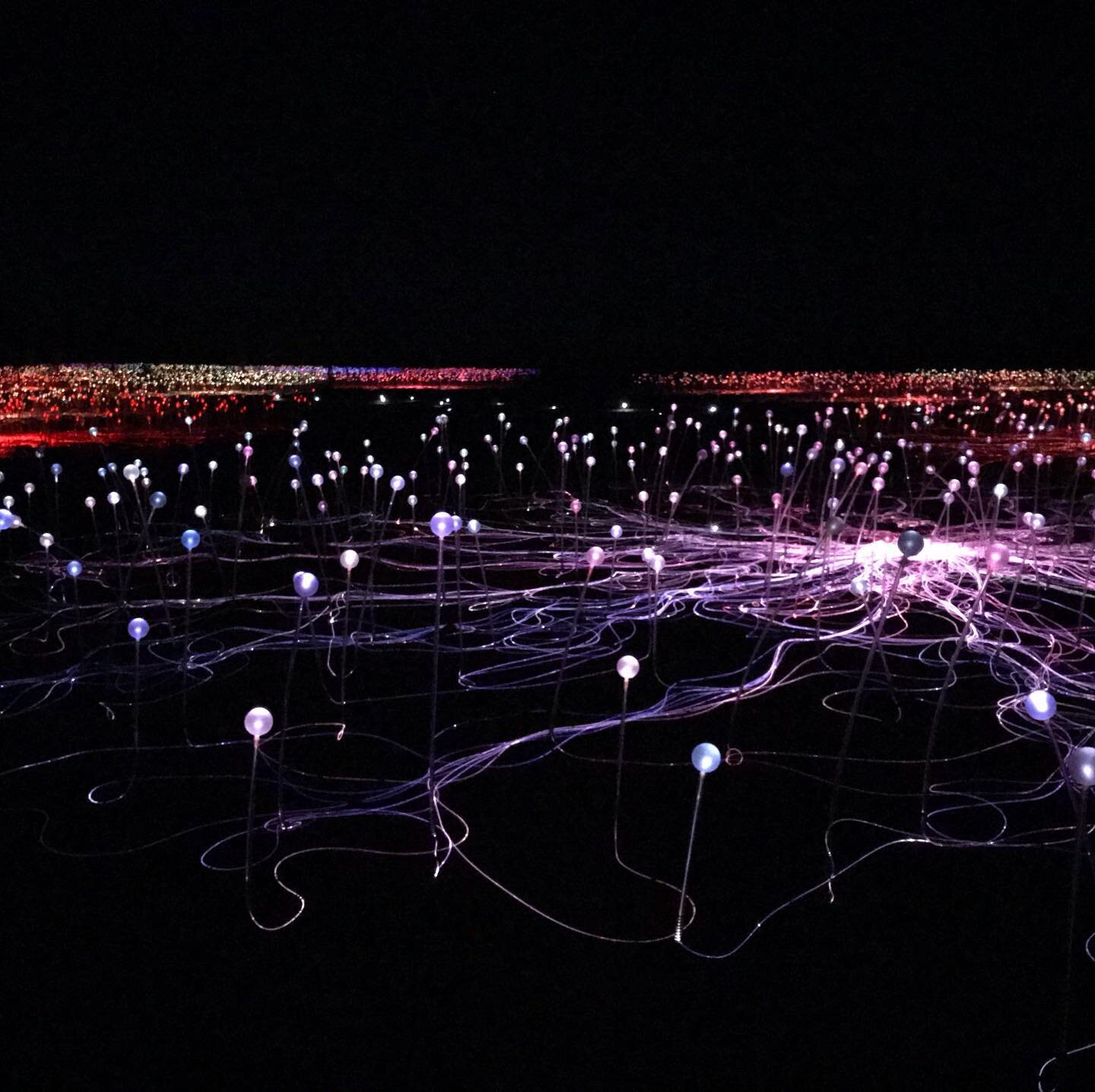 The beauty of Uluru, with the stunning Field of Light installation by Bruce Munro