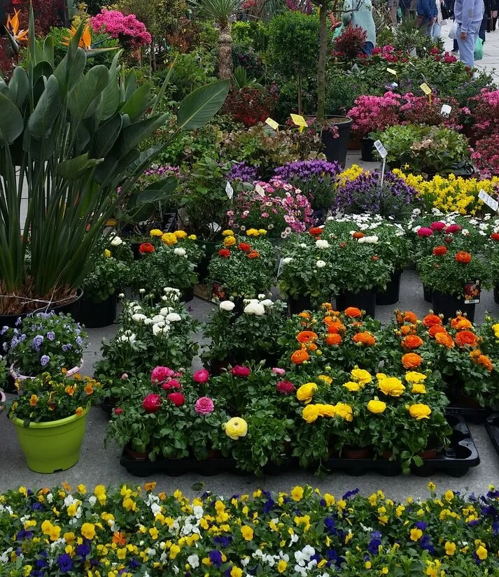 flowermarket.jpg