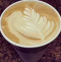 Peet's Pumpkin Soy Latte