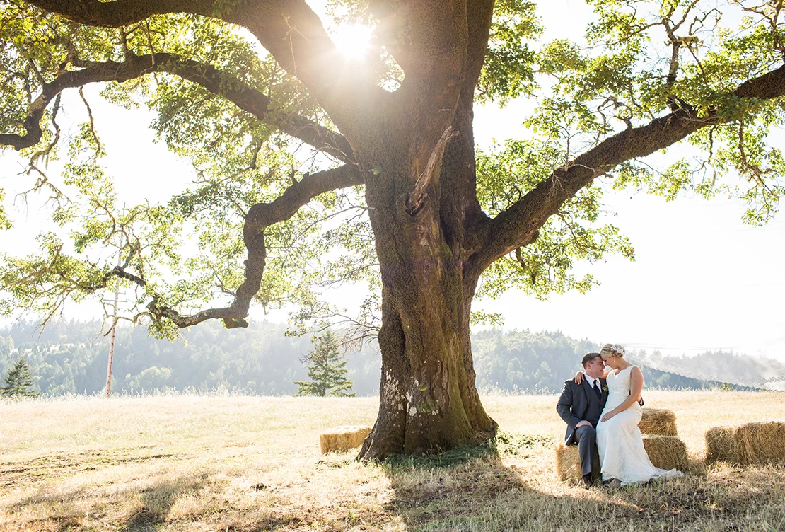 Allyson and Tyler | Cazadero Private Ranch Wedding