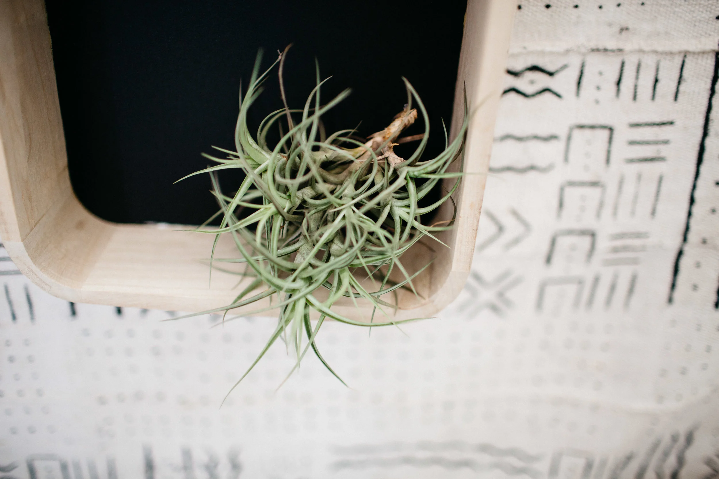 sweet_and_crafty_jocelyn_domingo_wedding_portfolio_121.jpg
