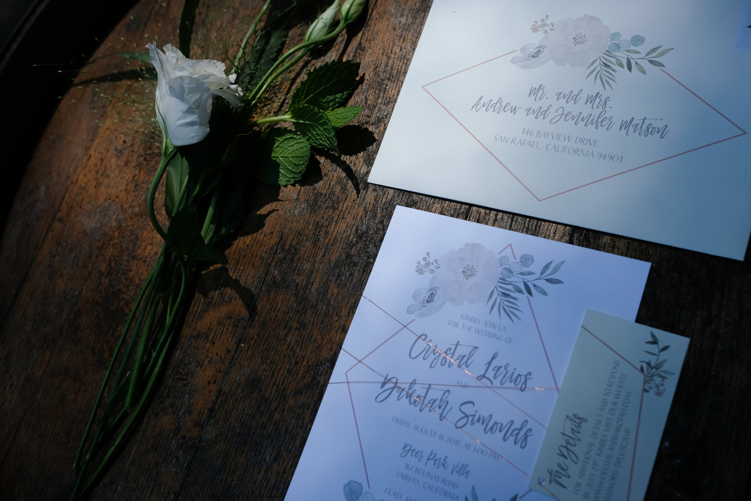 sweet_and_crafty_deer_park_villa_wedding_002.jpg
