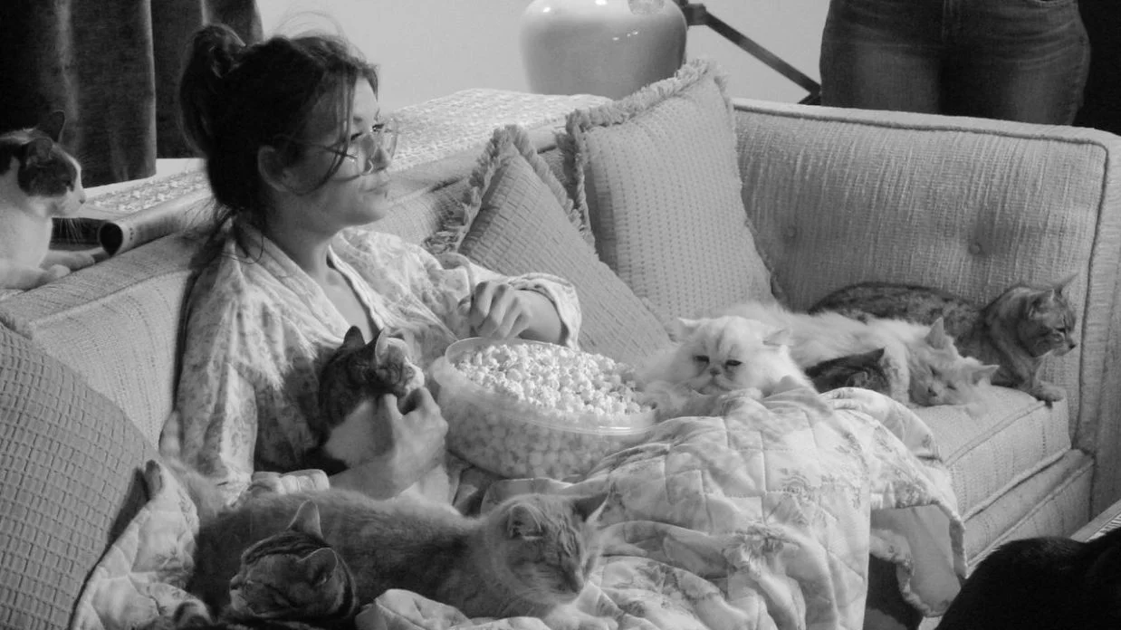 I'm Not A Crazy Cat Lady, I Swear