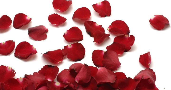 Where Are They Now: 7 Dates in 7 Days 