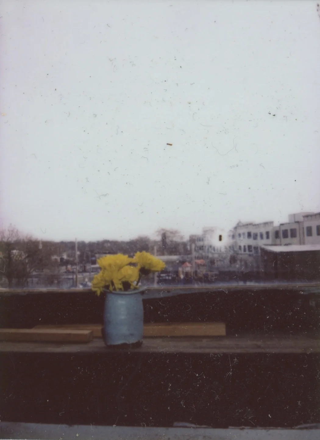 ED_POLAROID_2017_ 26.jpeg