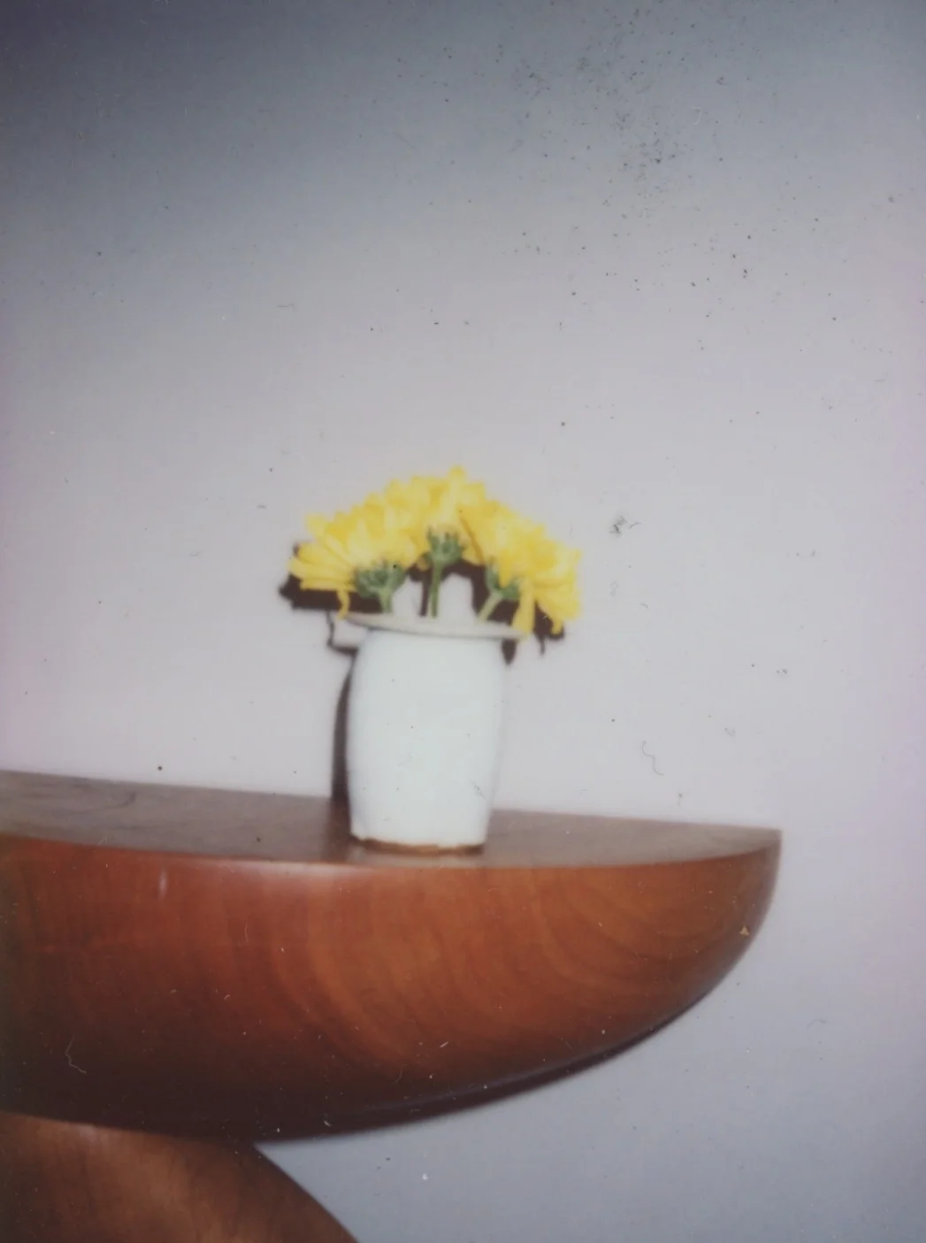 ED_POLAROID_2017_ 32.jpeg