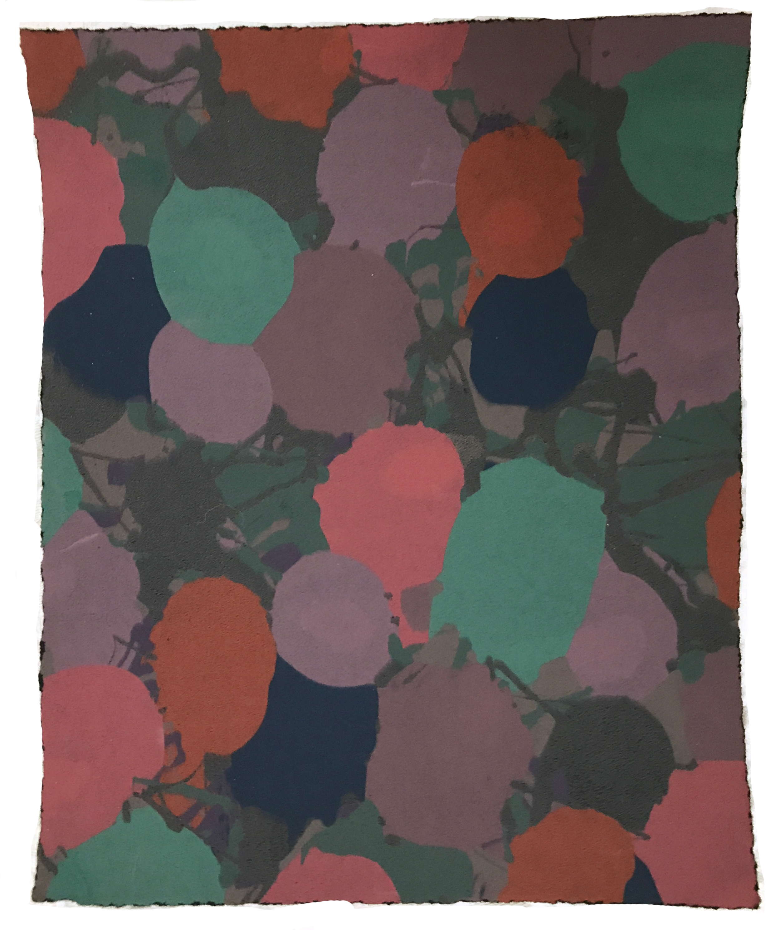 IMG_1901.png