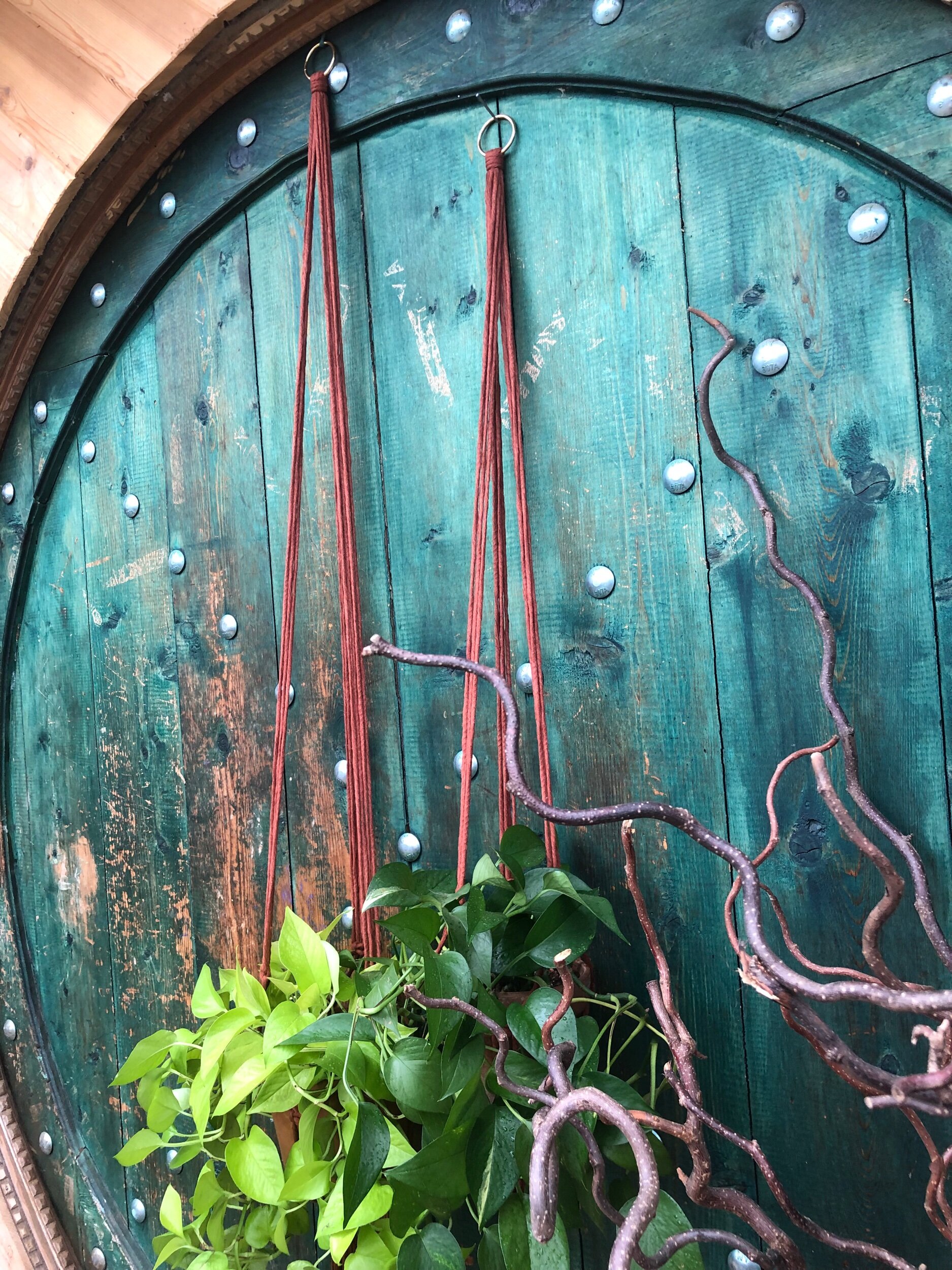 A02EF9DC-FDC6-4B76-9D70-DE83FC28A4E6