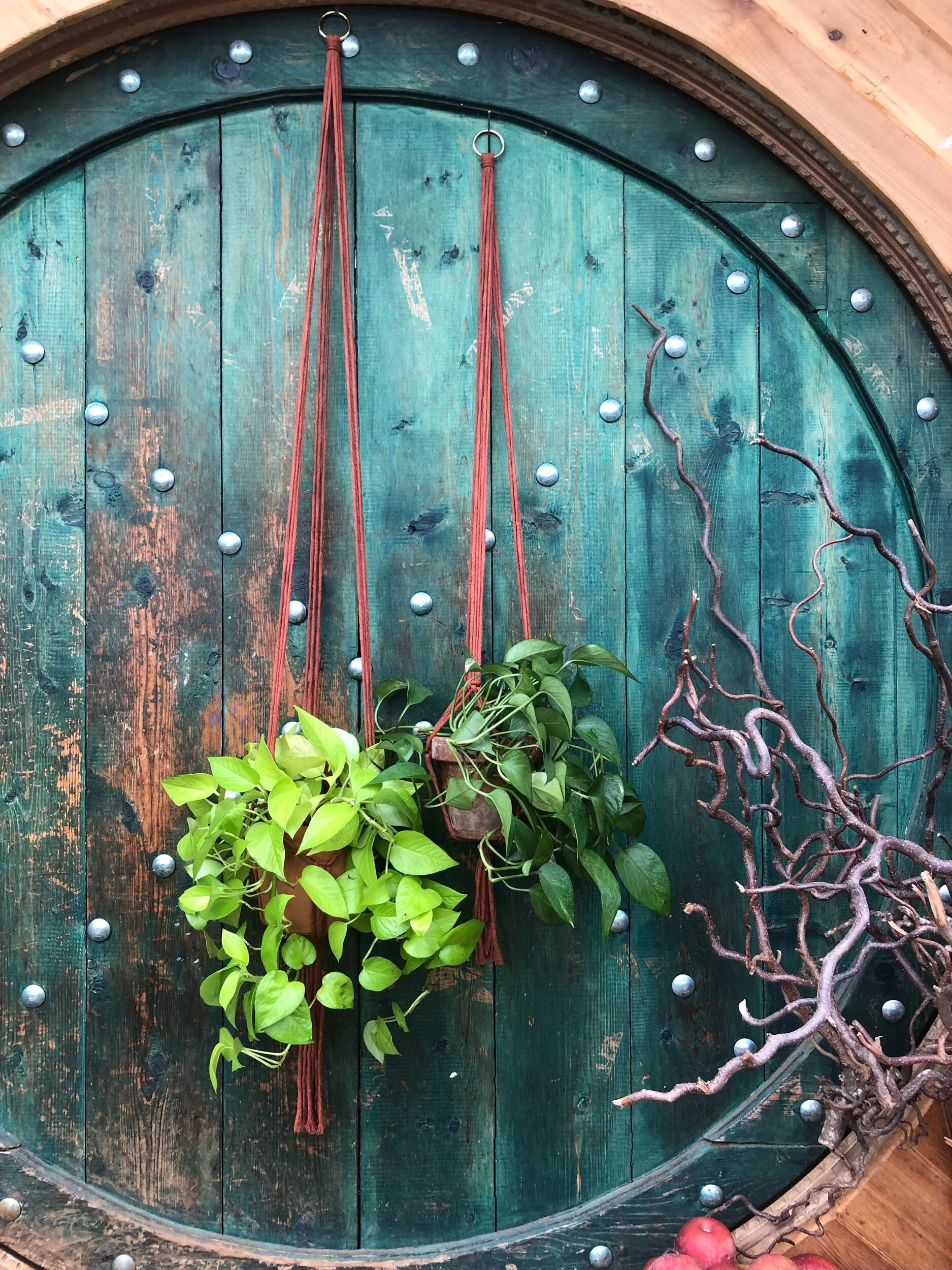 92B811D8-CA2F-4825-8838-8DB50F04DCE1