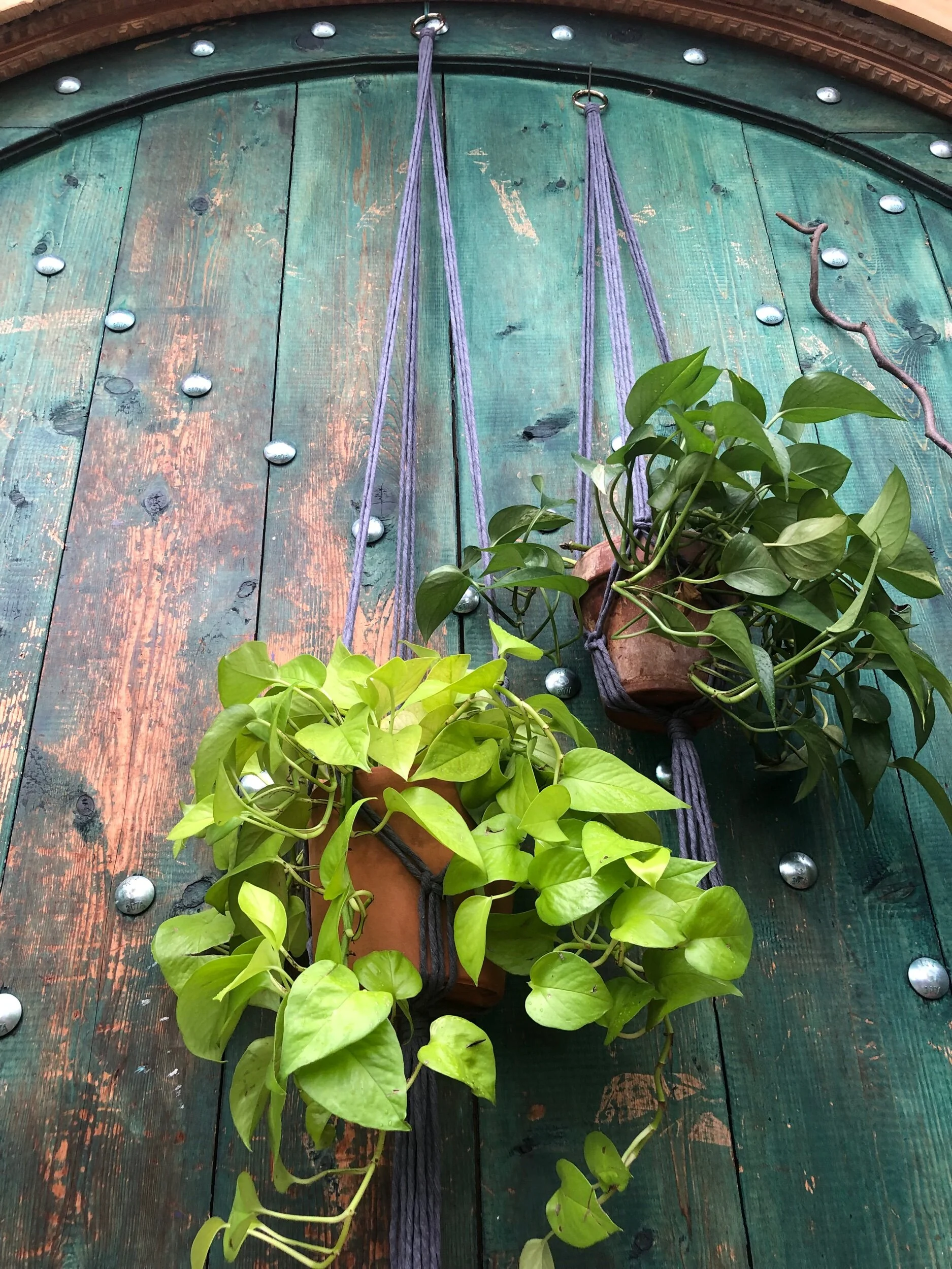 85D280EF-D277-444B-B95B-5F88A75A1B45