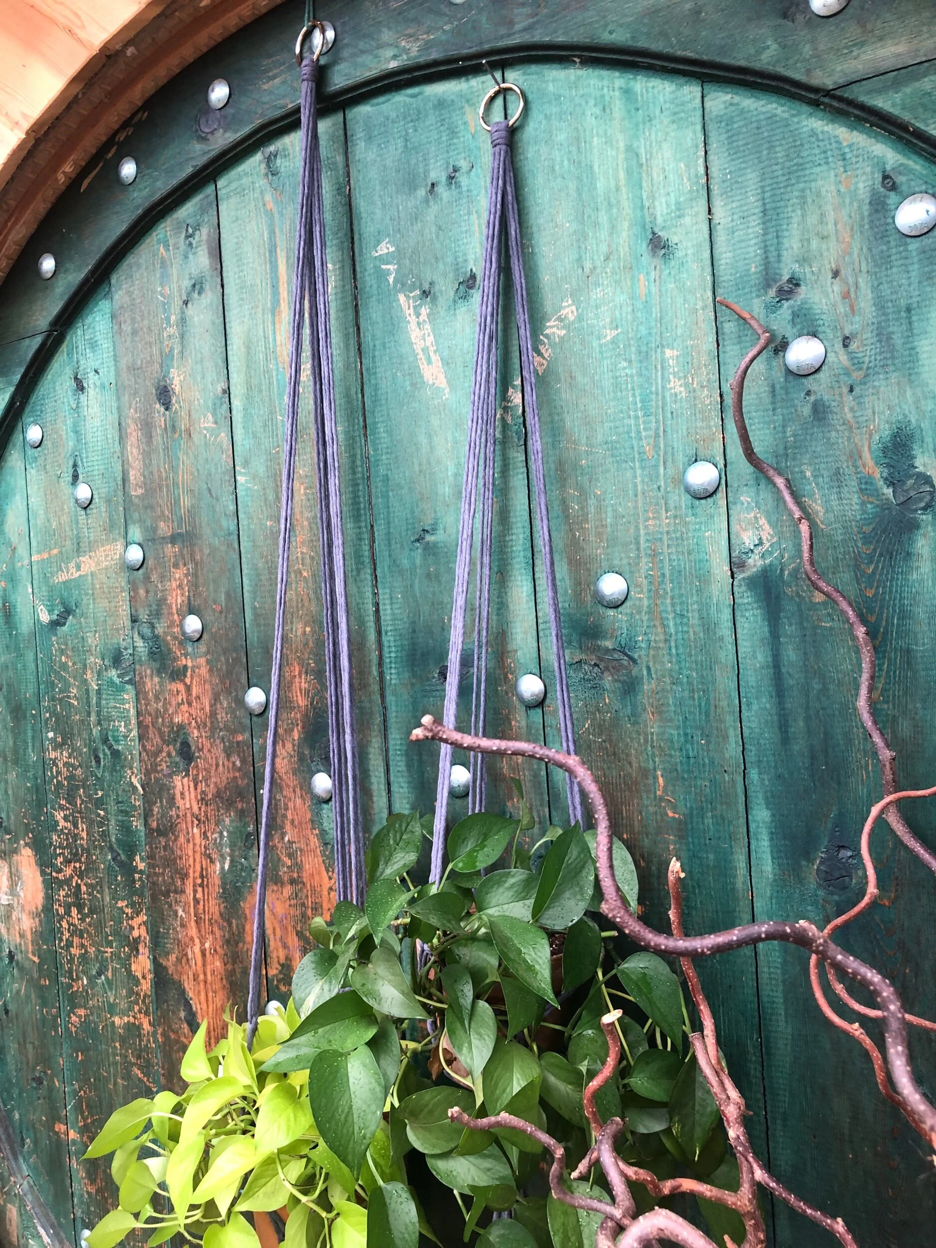 2480FAED-0EA6-4CEF-9C03-86648F8BCB2E