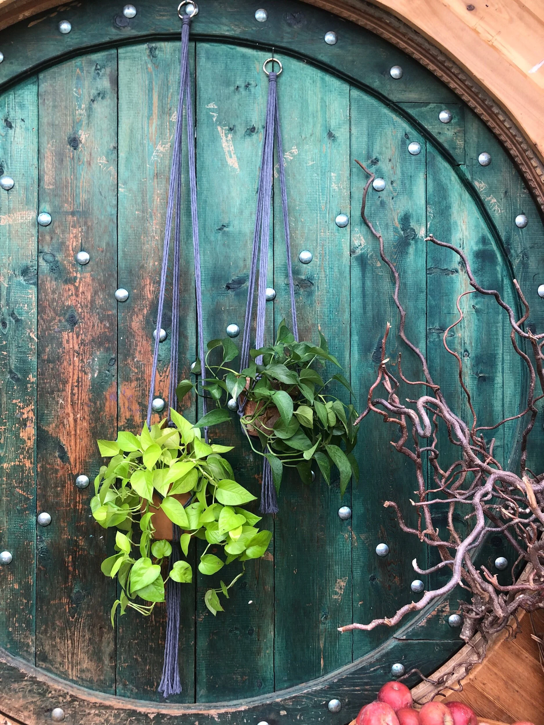 75CA5B82-D26F-4497-BEA5-4C13F9F43837