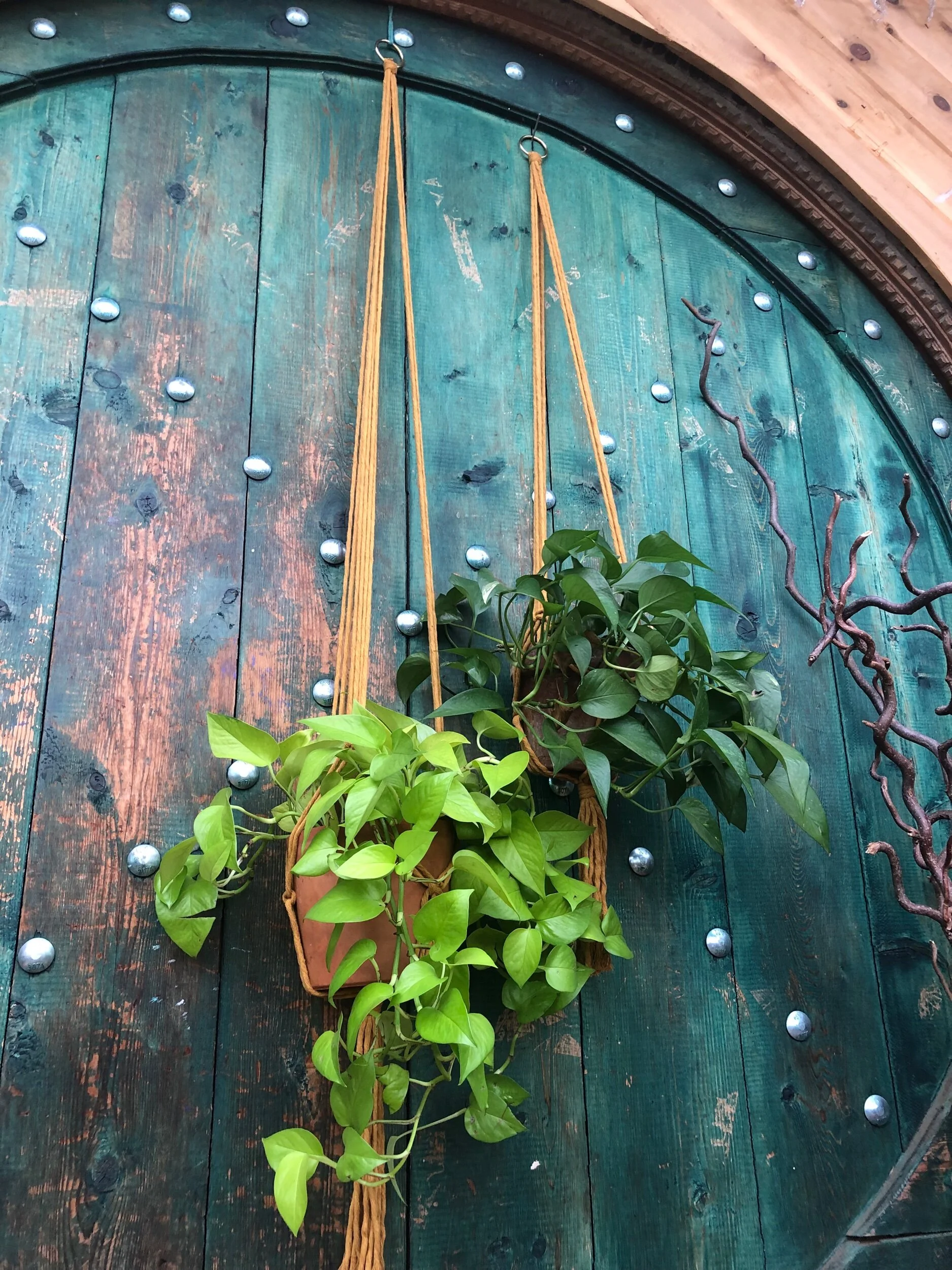 23A5B1E1-921C-4573-8316-DF6292DF3432