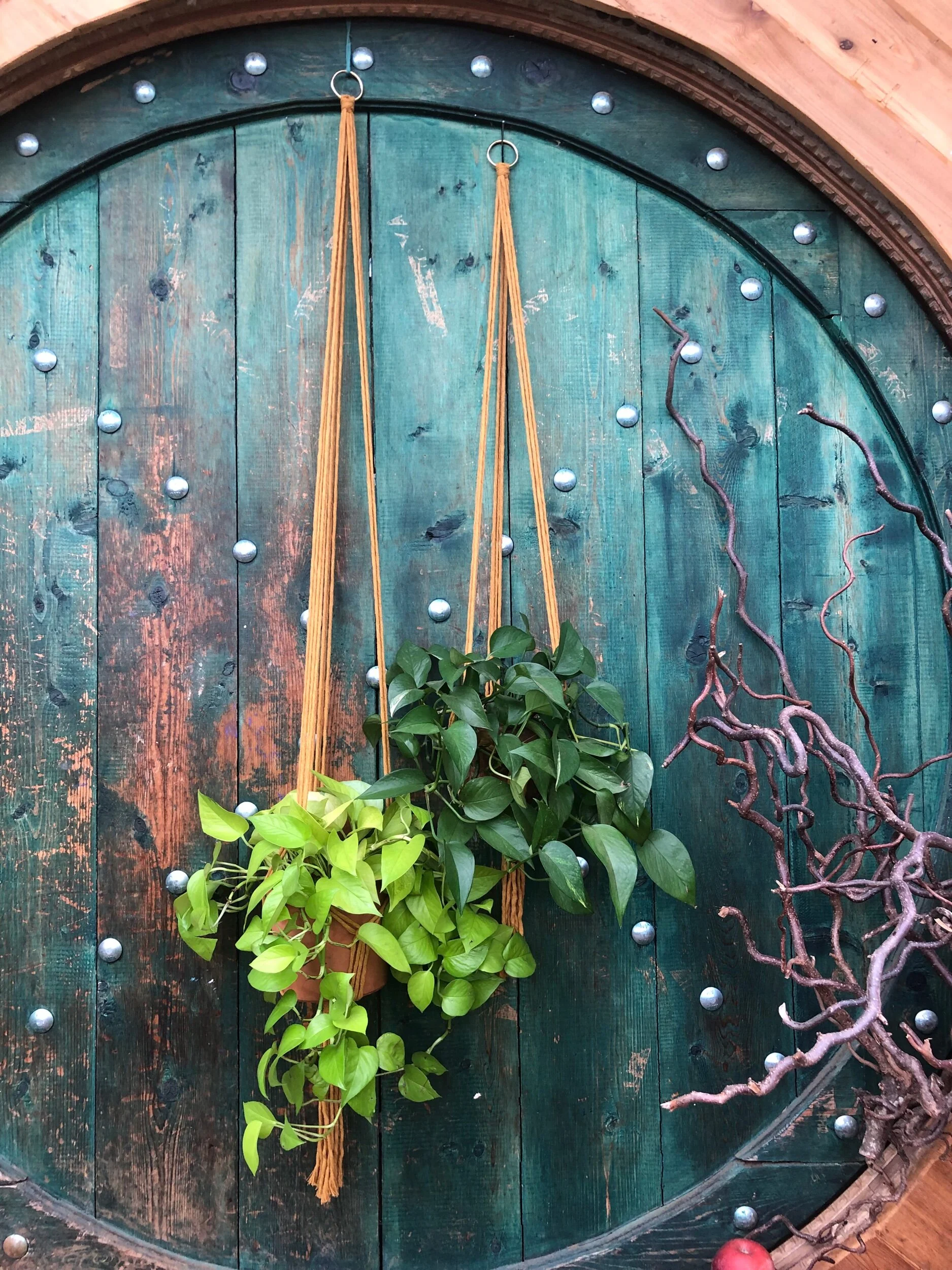 CC32BA87-4692-47F2-A246-1CE4417142DB